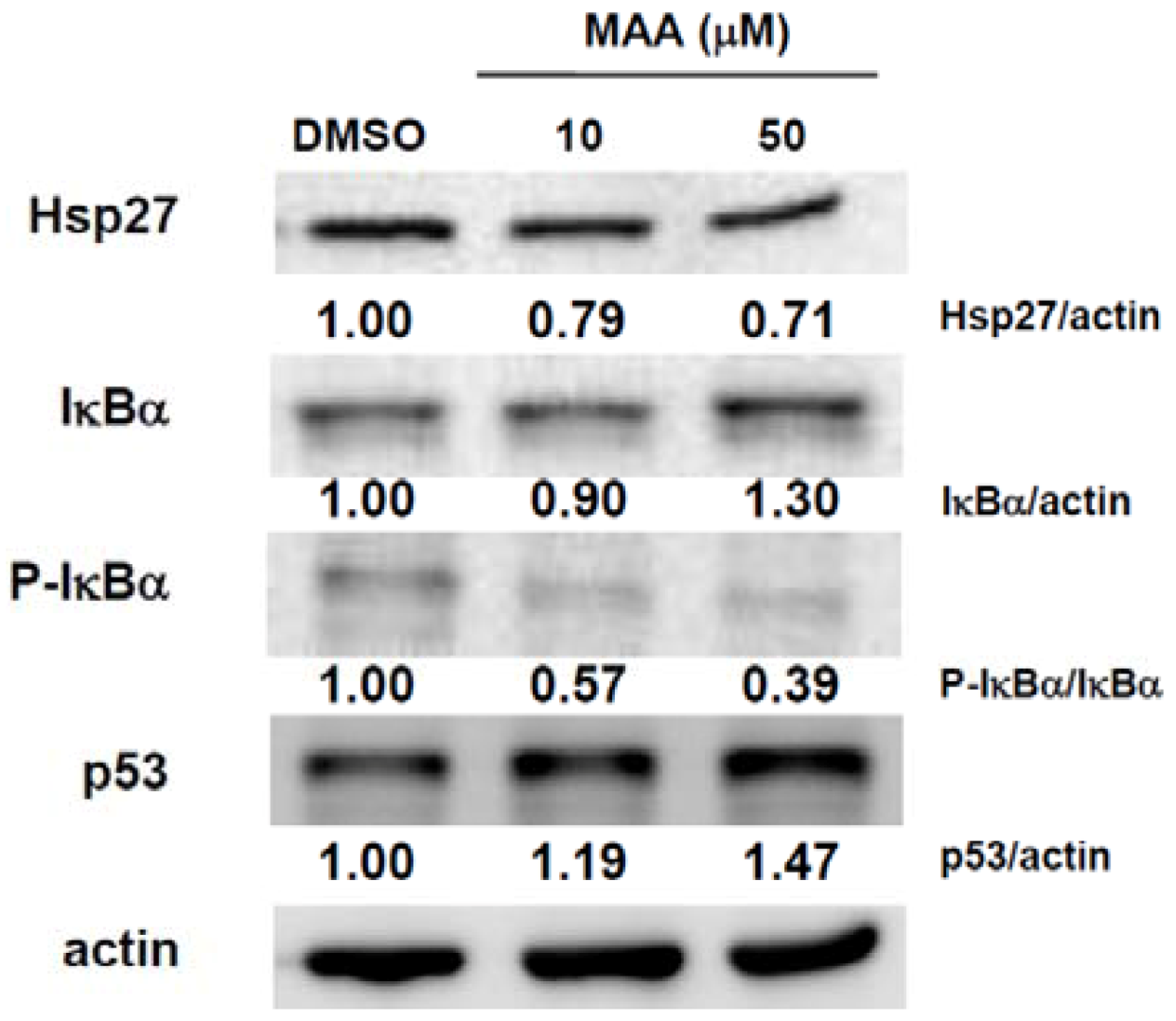 Molecules 18 02539 g004 550