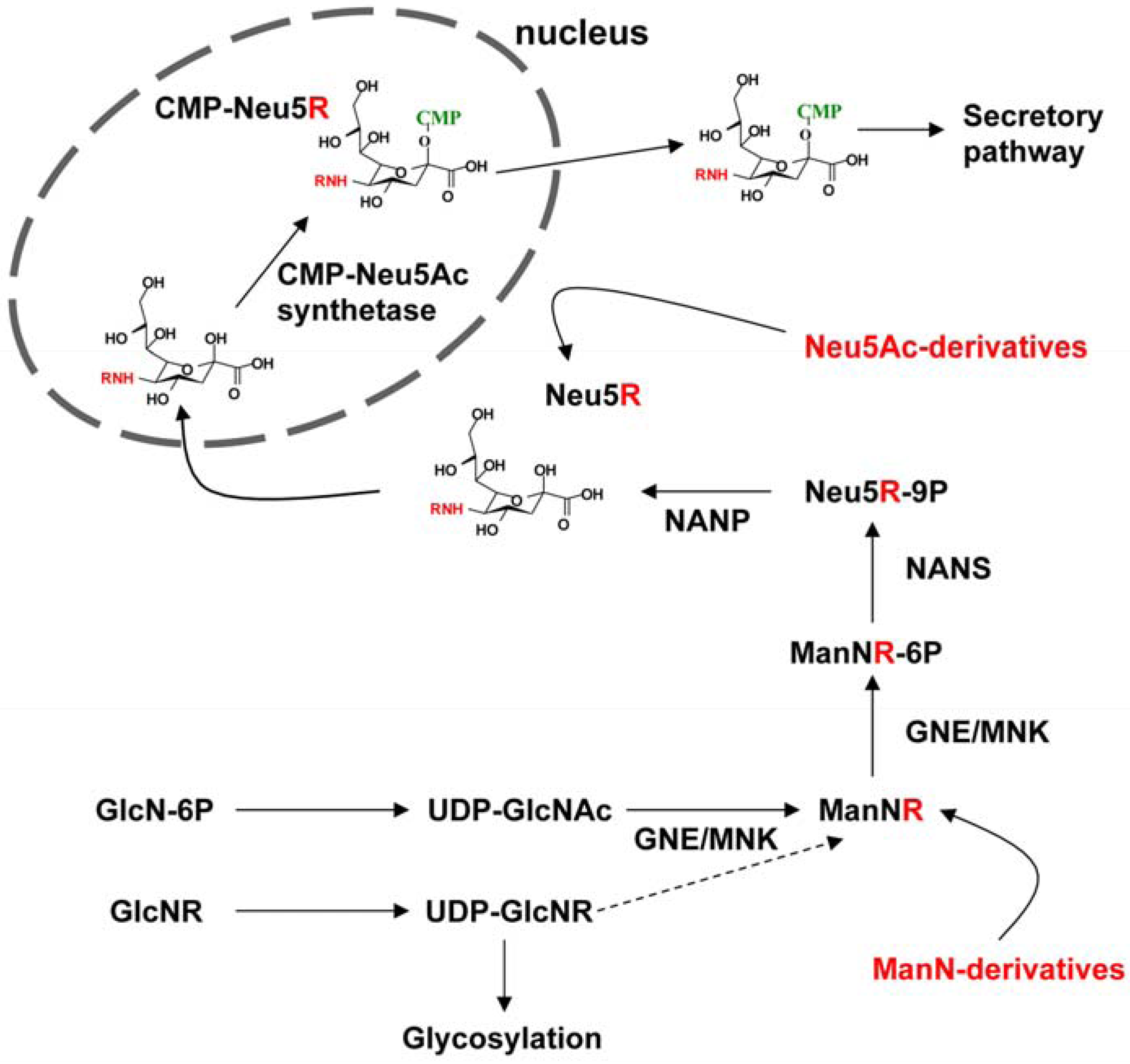 Molecules 18 02571 g001