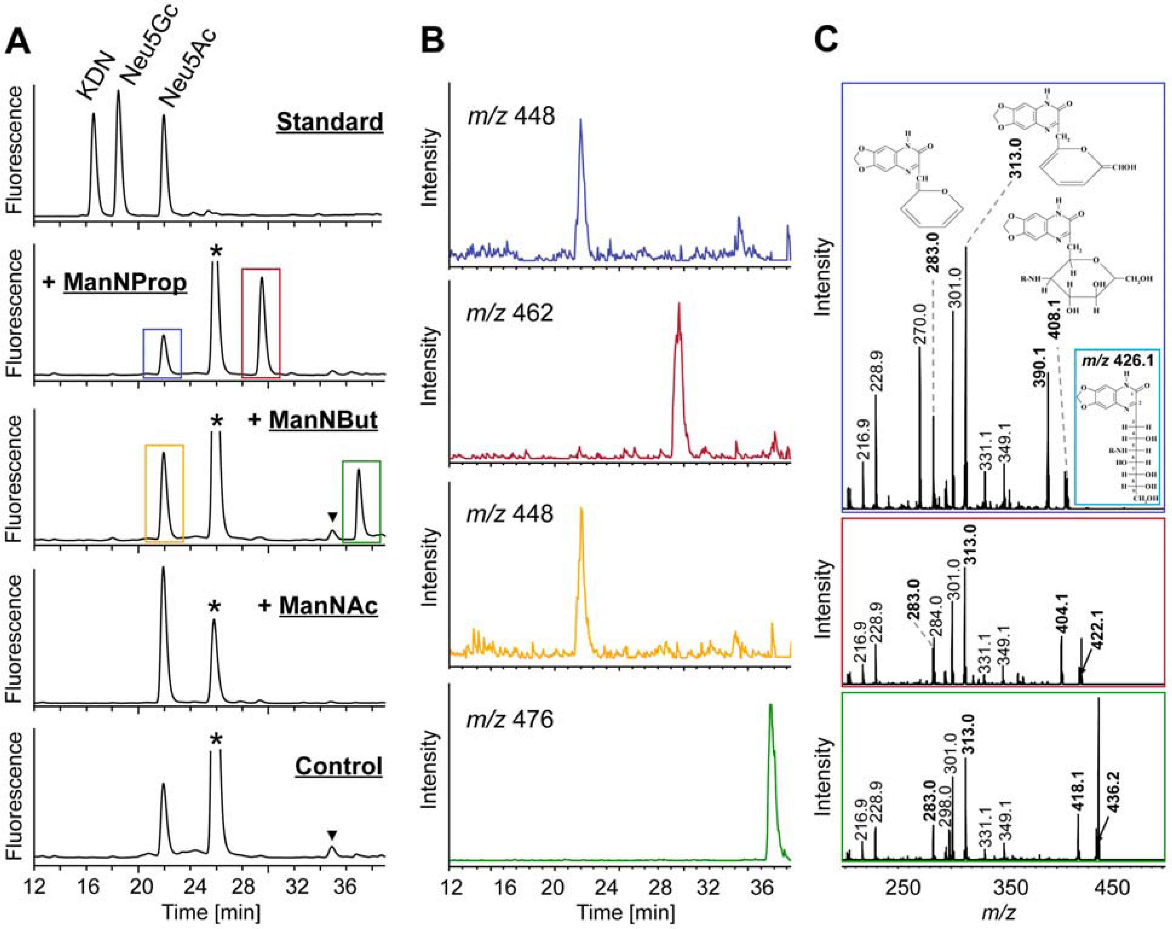 Molecules 18 02571 g004
