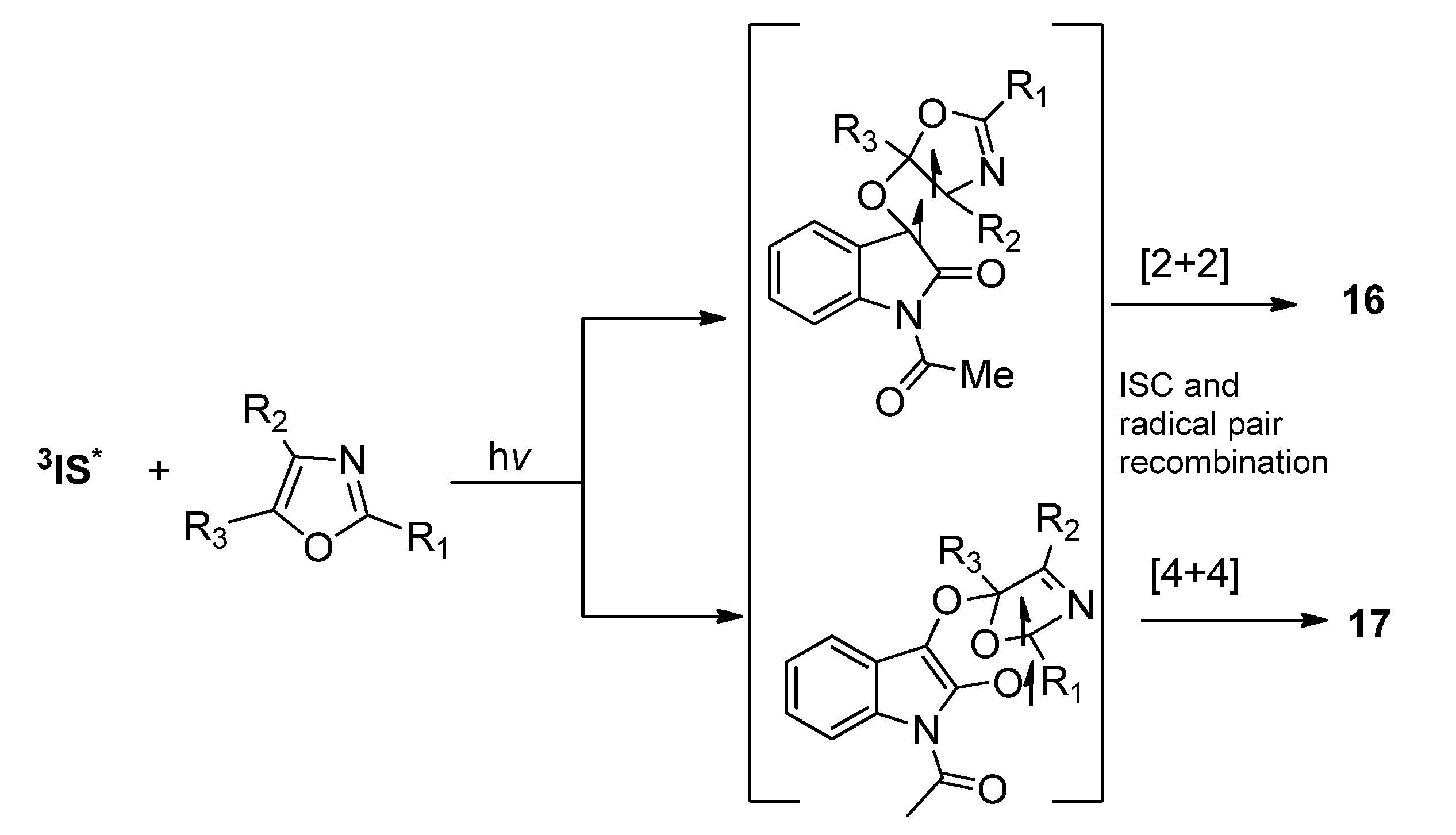 Molecules 18 02942 g011