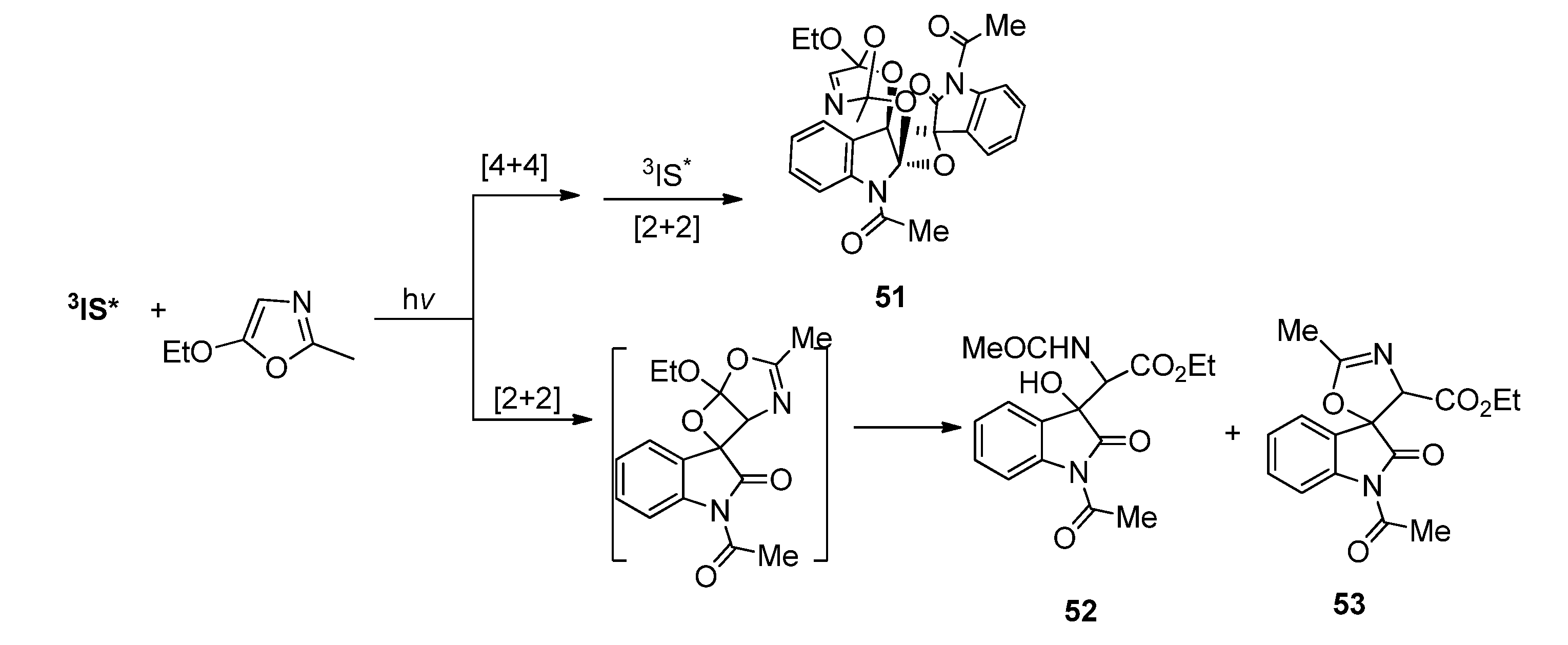 Molecules 18 02942 g024