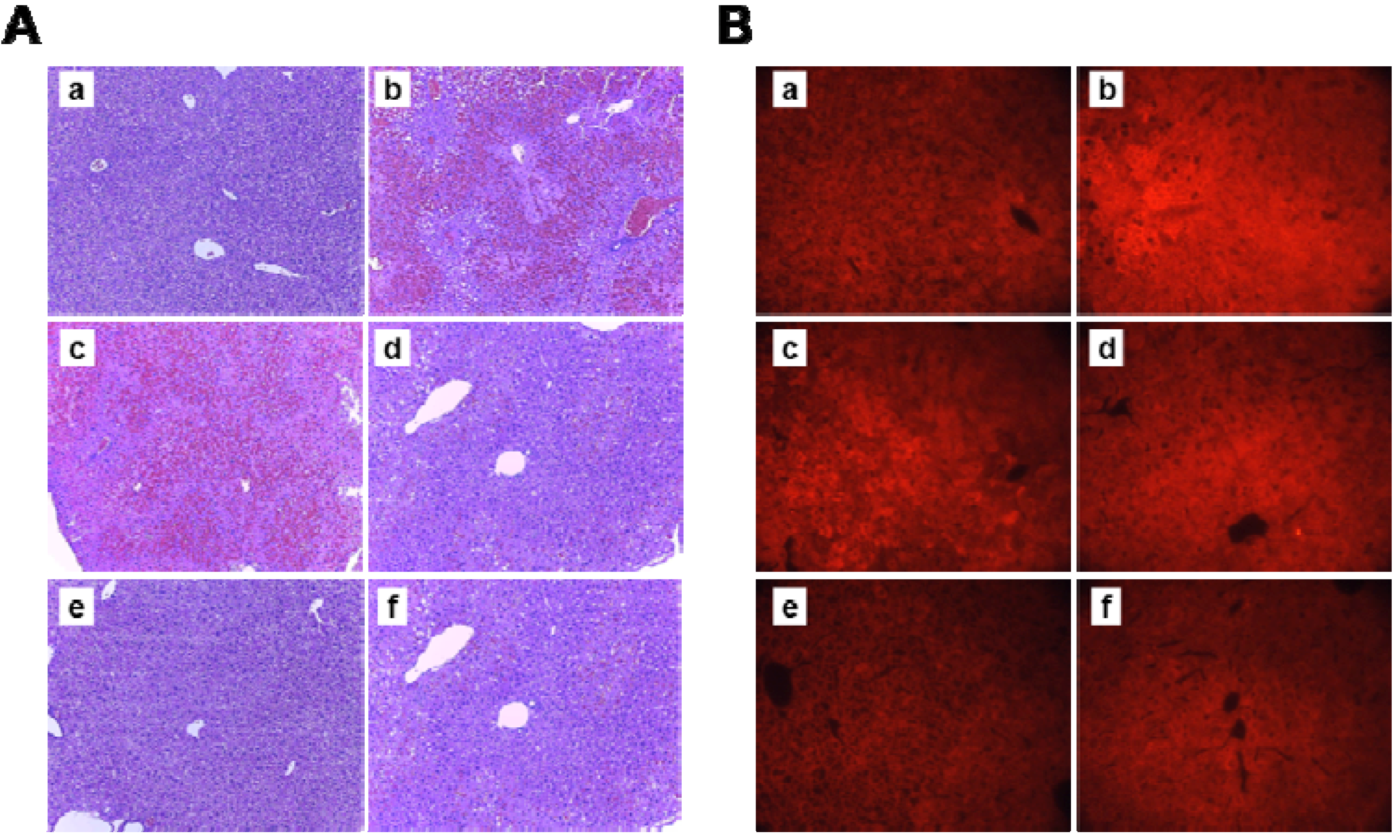 Molecules 18 03467 g004 550