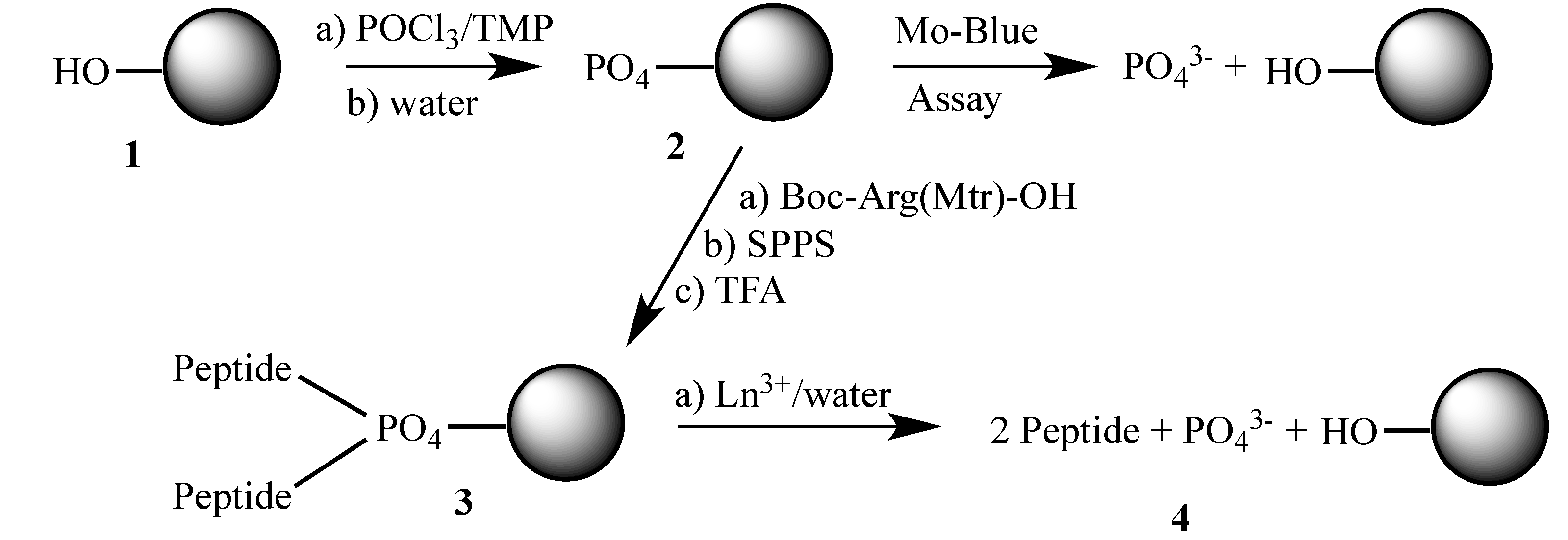 Molecules 18 03894 g005