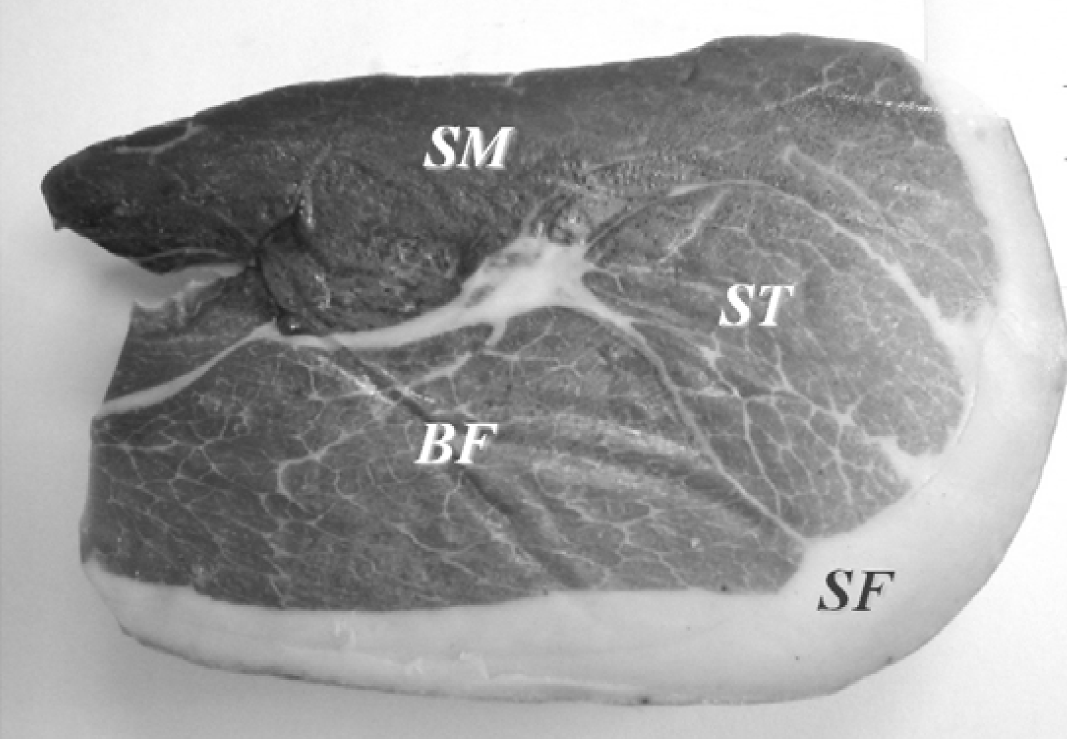 Molecules 18 03927 g003 550