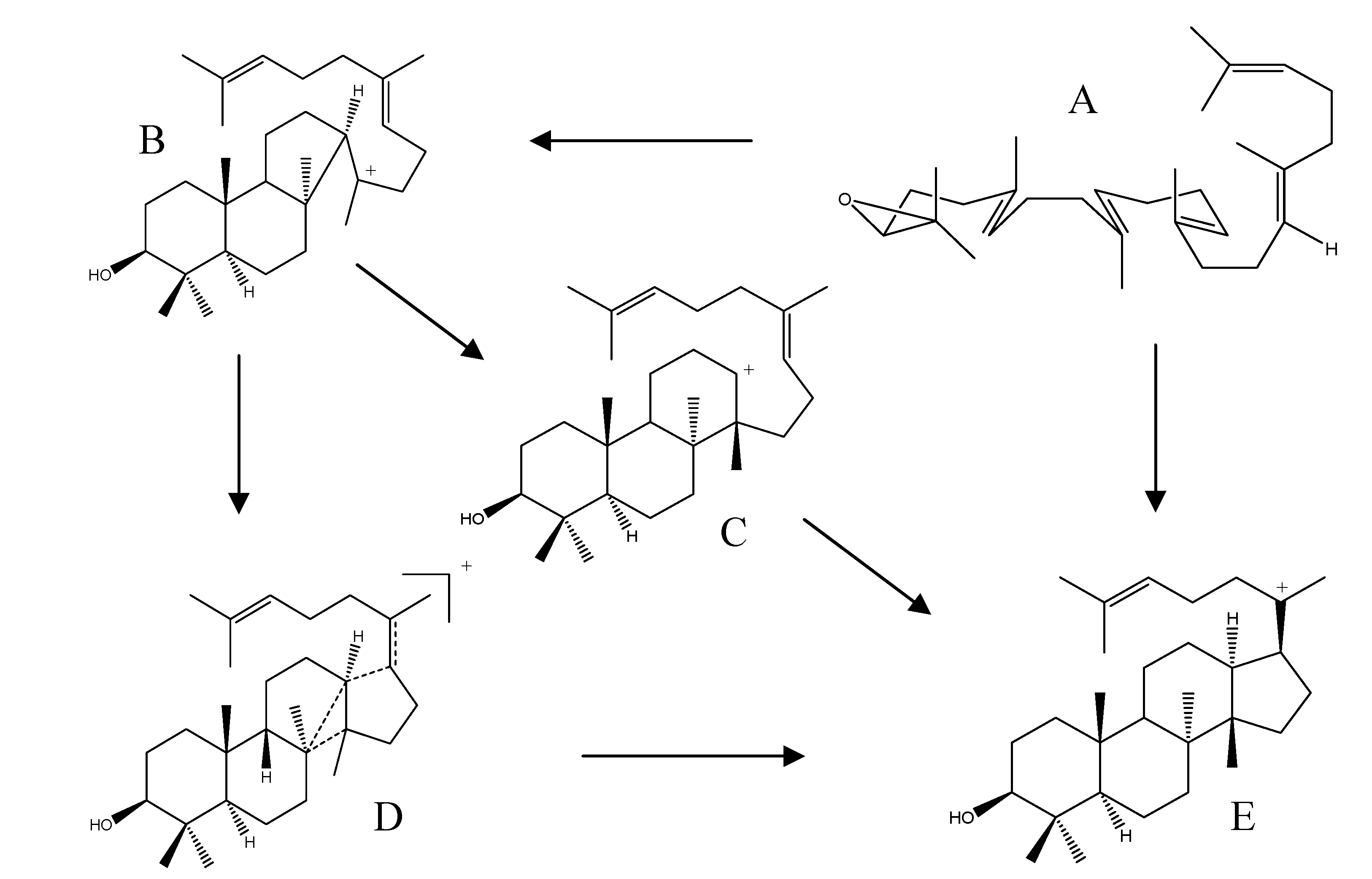 Molecules 18 04054 g010