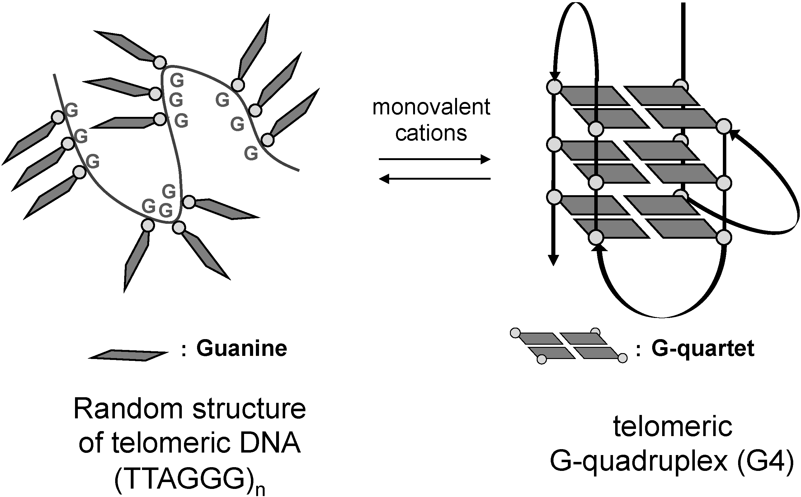 Molecules 18 04328 g001