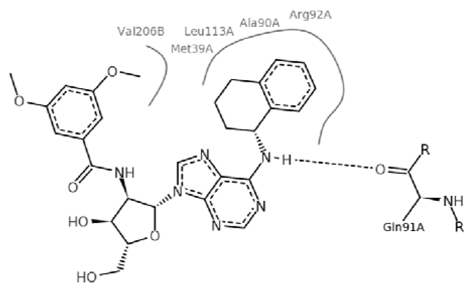 Molecules 18 05032 g001