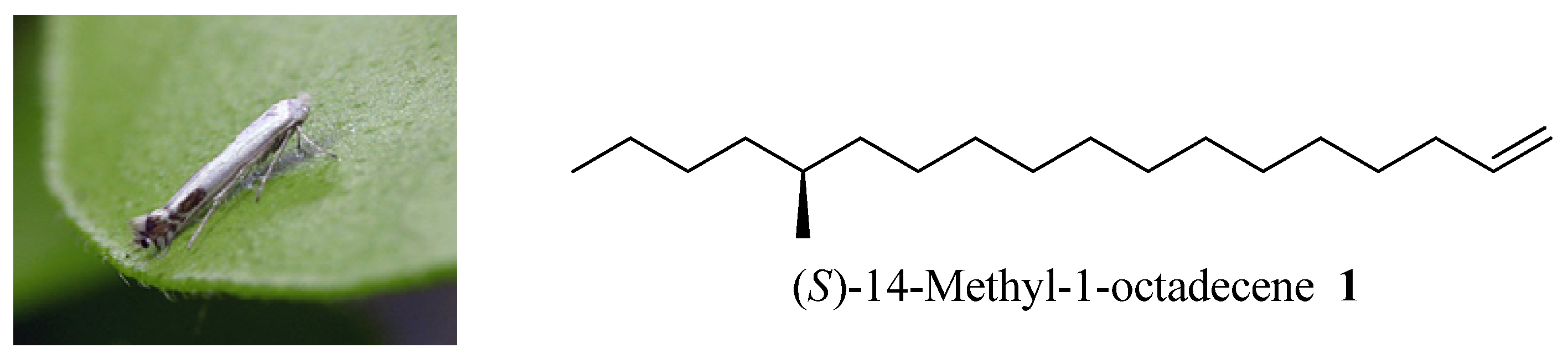 Molecules 18 05201 g001 550