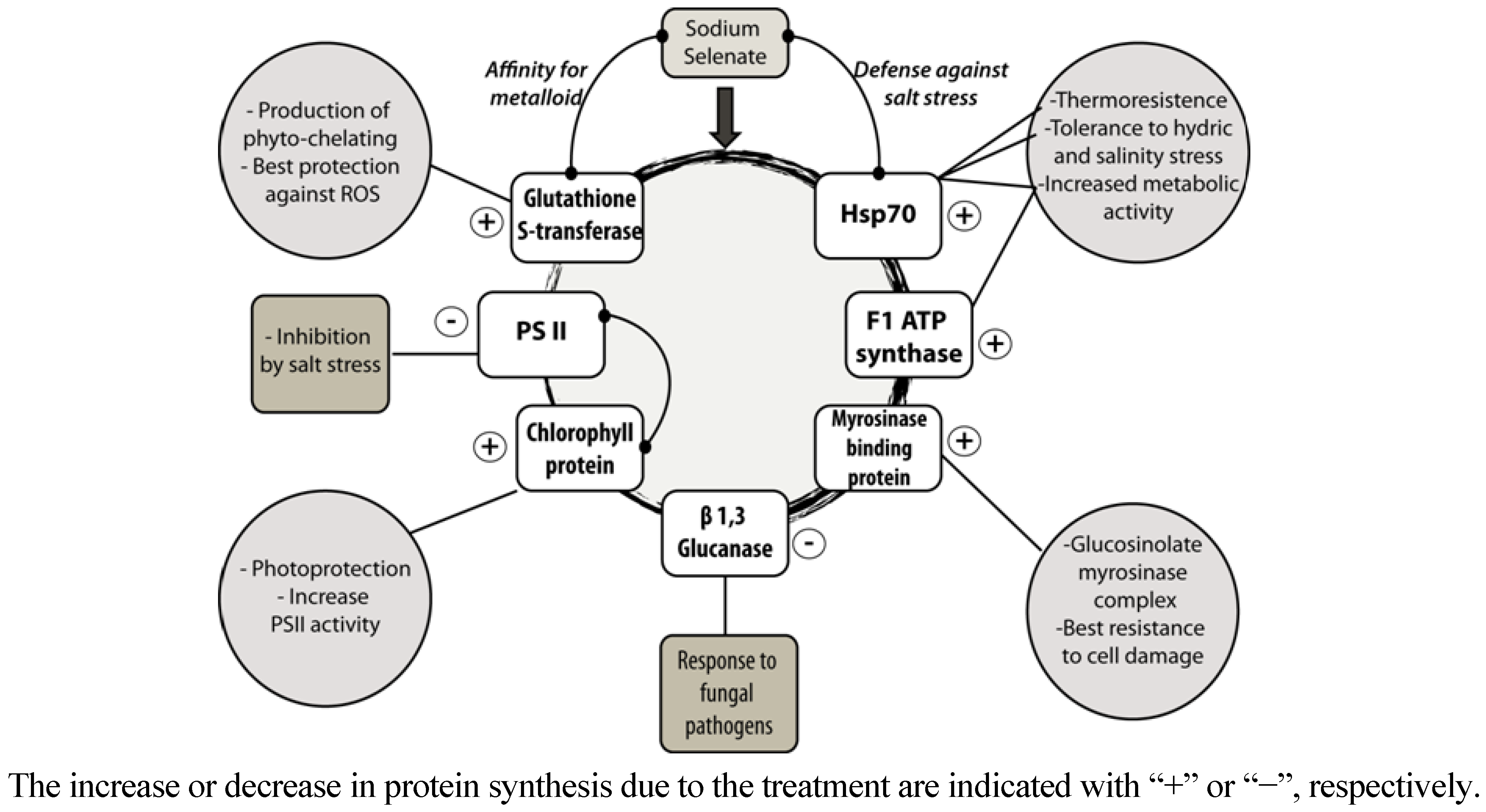 Molecules 18 05221 g003 550