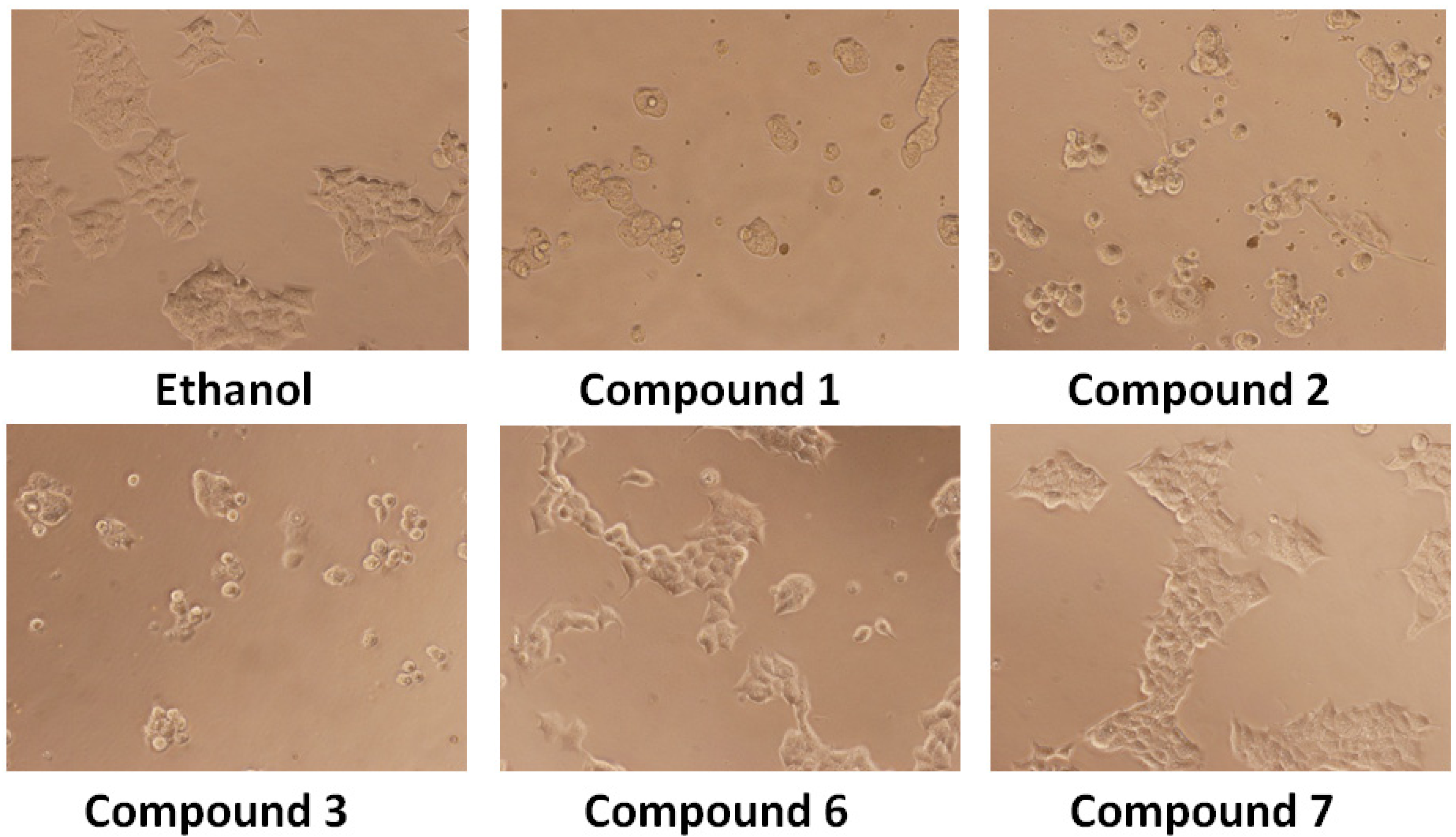Molecules 18 05348 g002