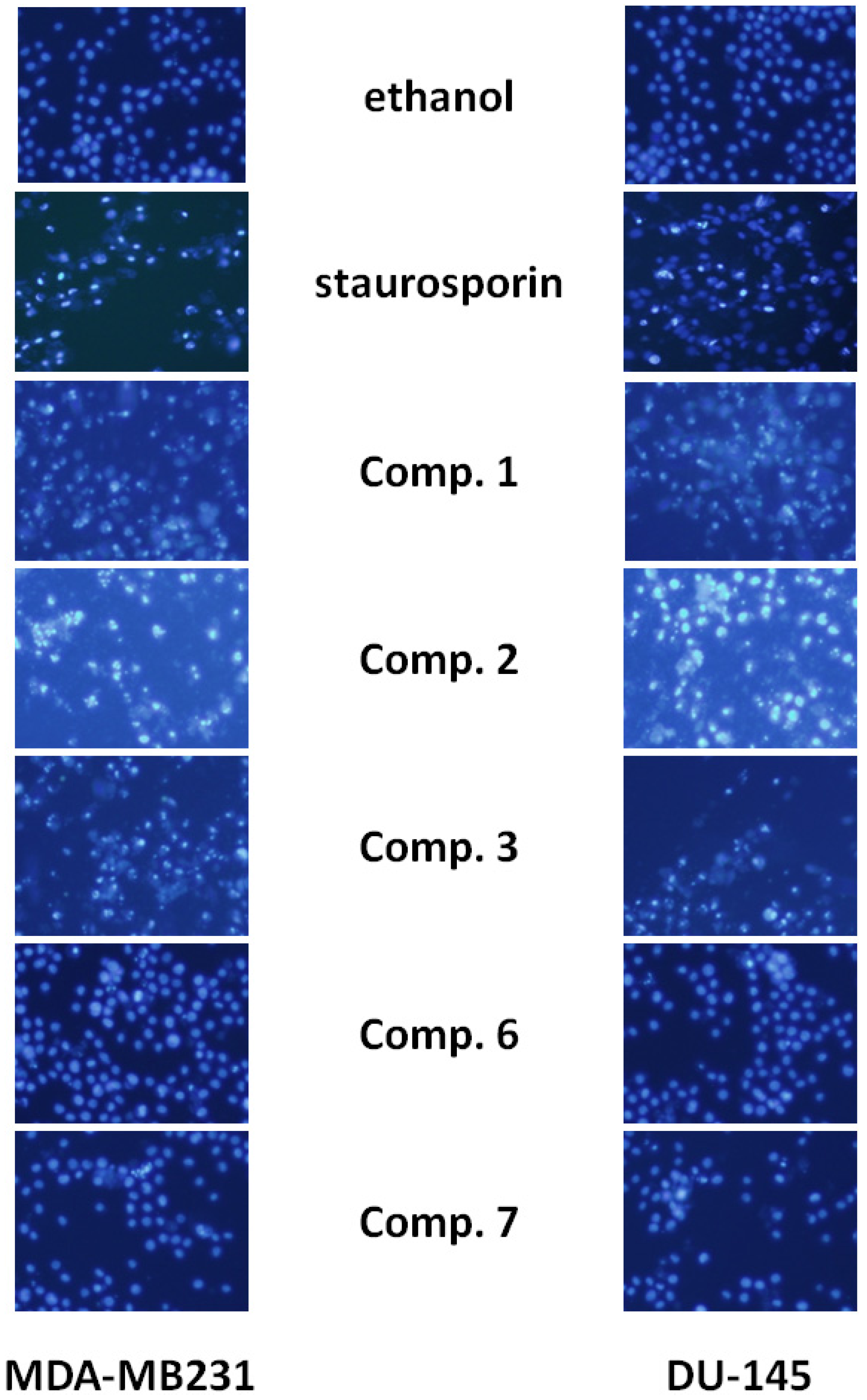 Molecules 18 05348 g003