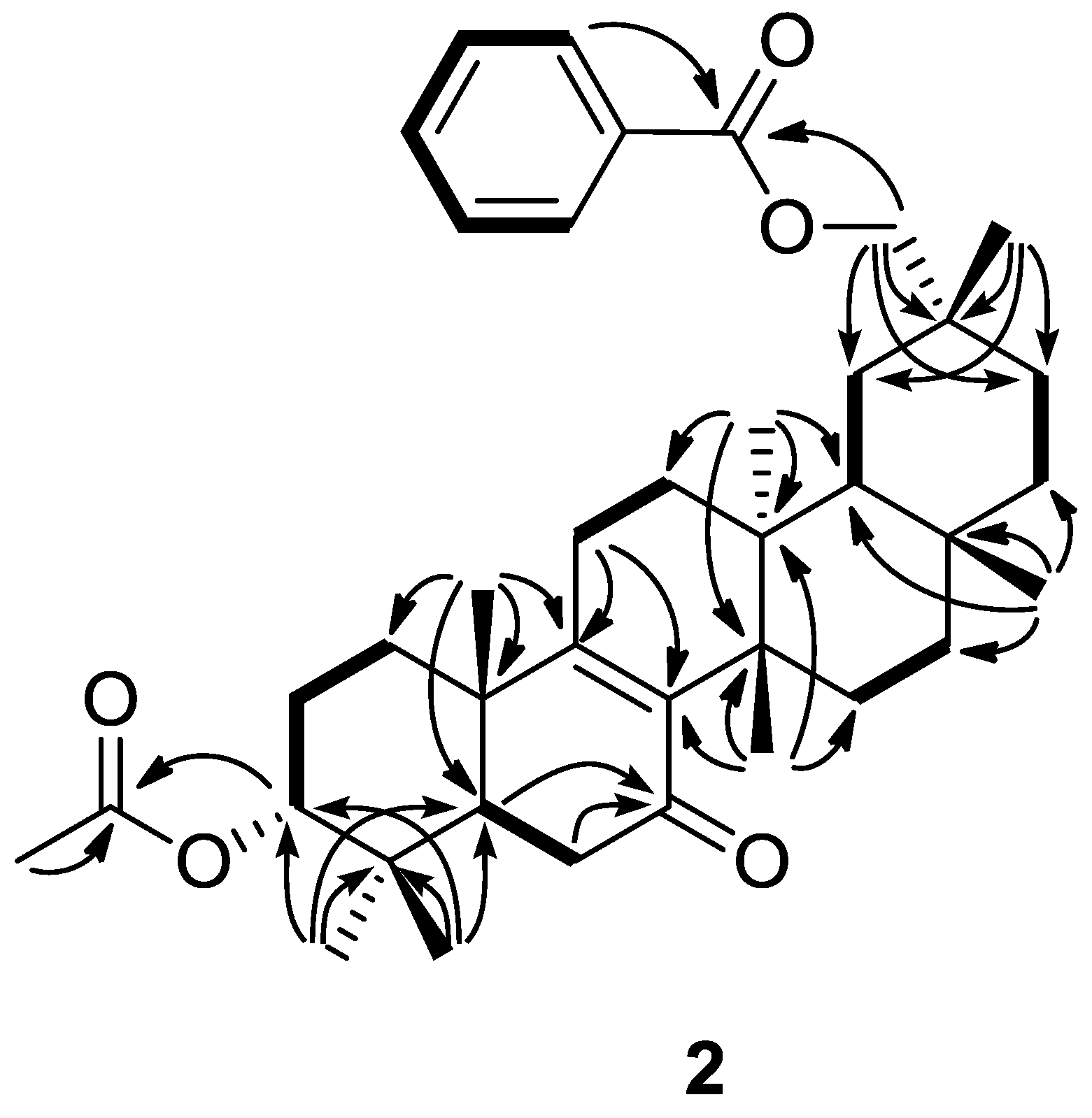 Molecules 18 05568 g004 550