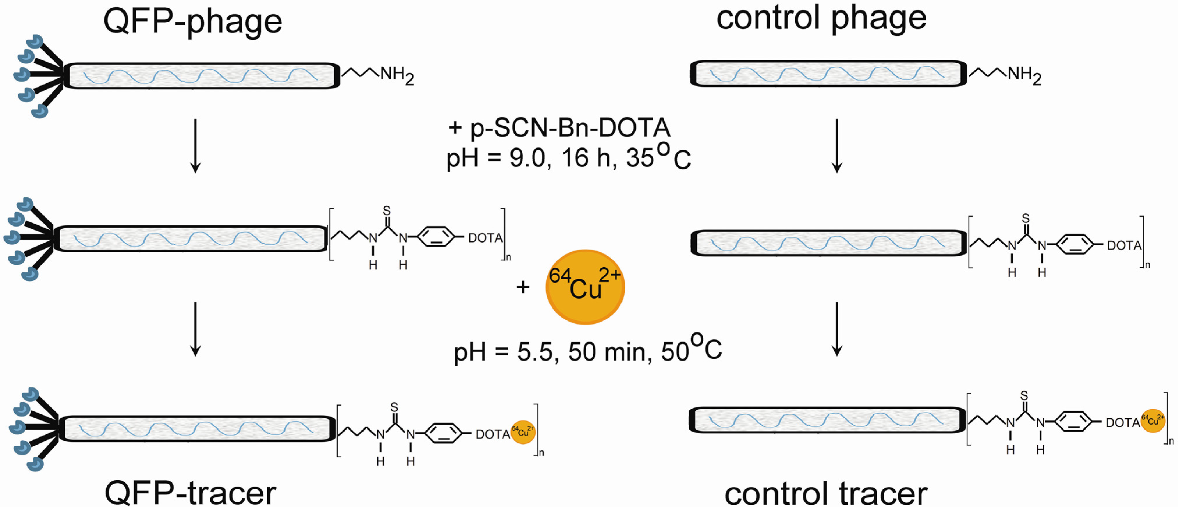 Molecules 18 05594 g001