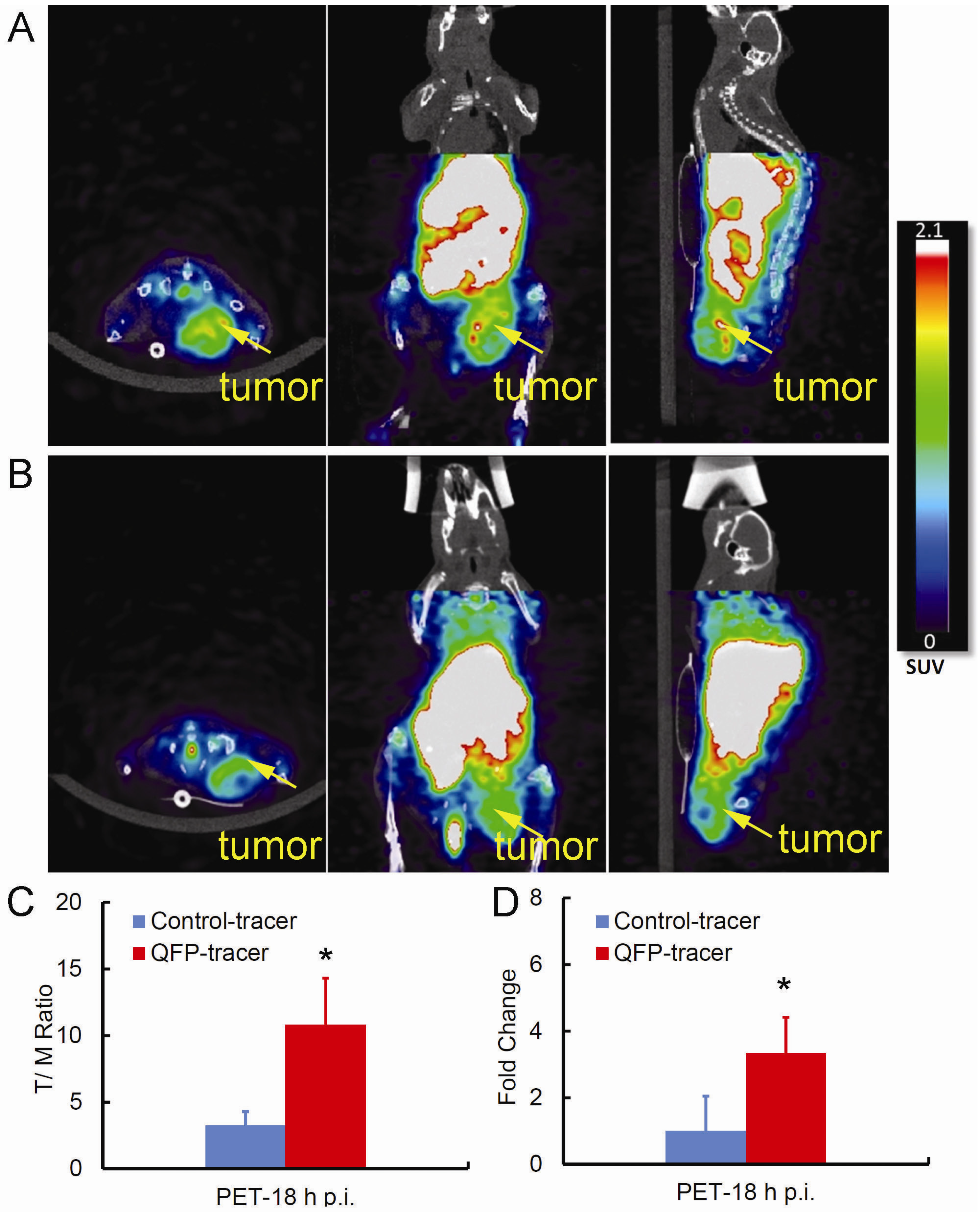 Molecules 18 05594 g003