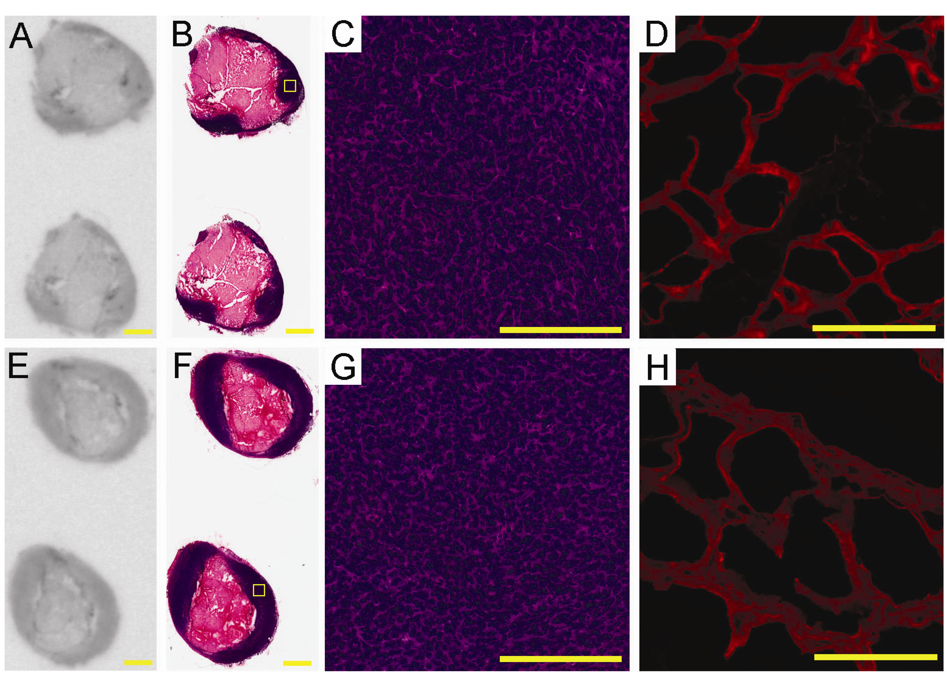 Molecules 18 05594 g004