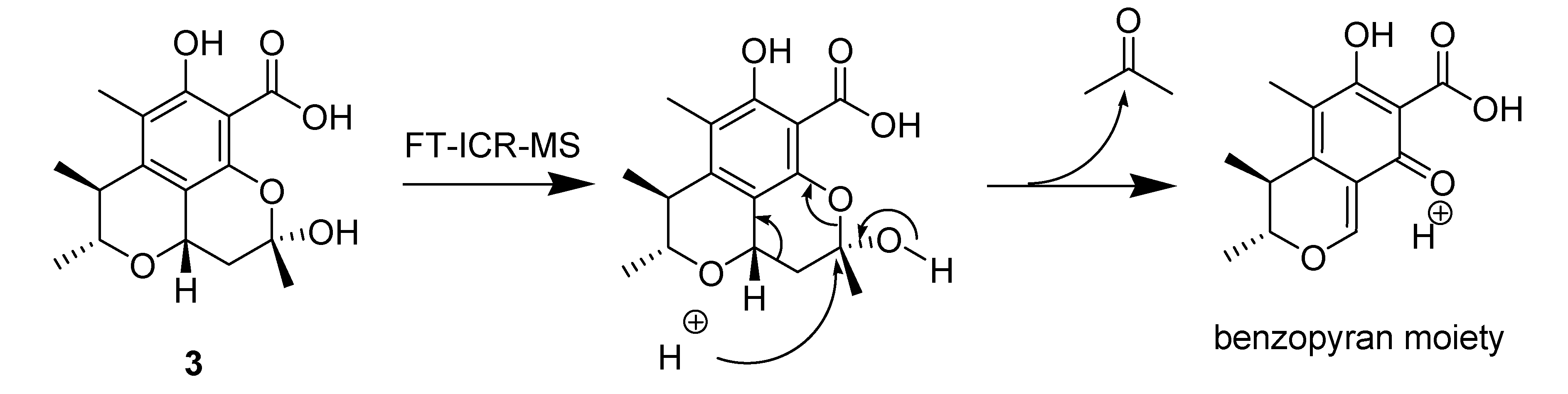 Molecules 18 05723 g004
