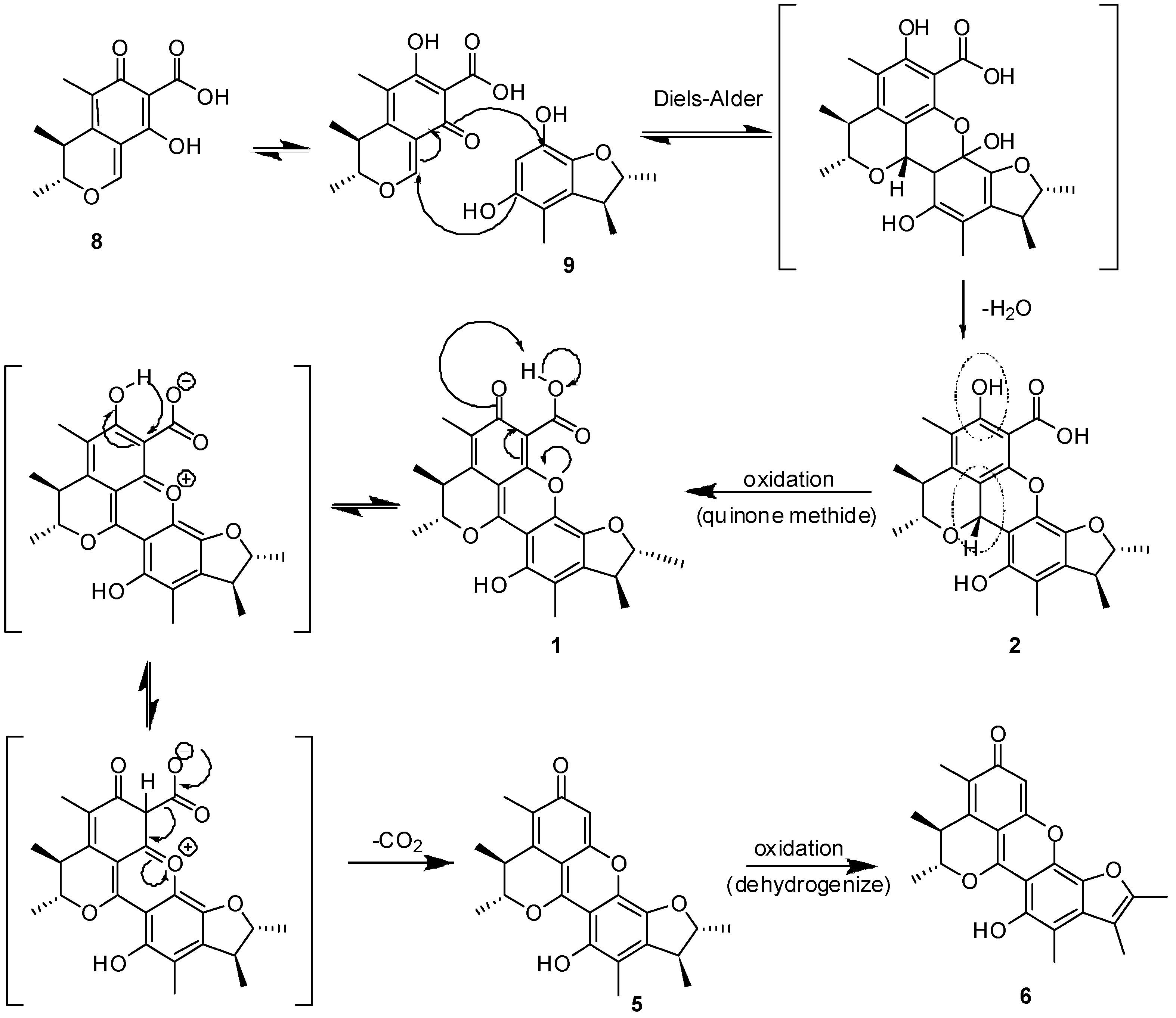 Molecules 18 05723 g005