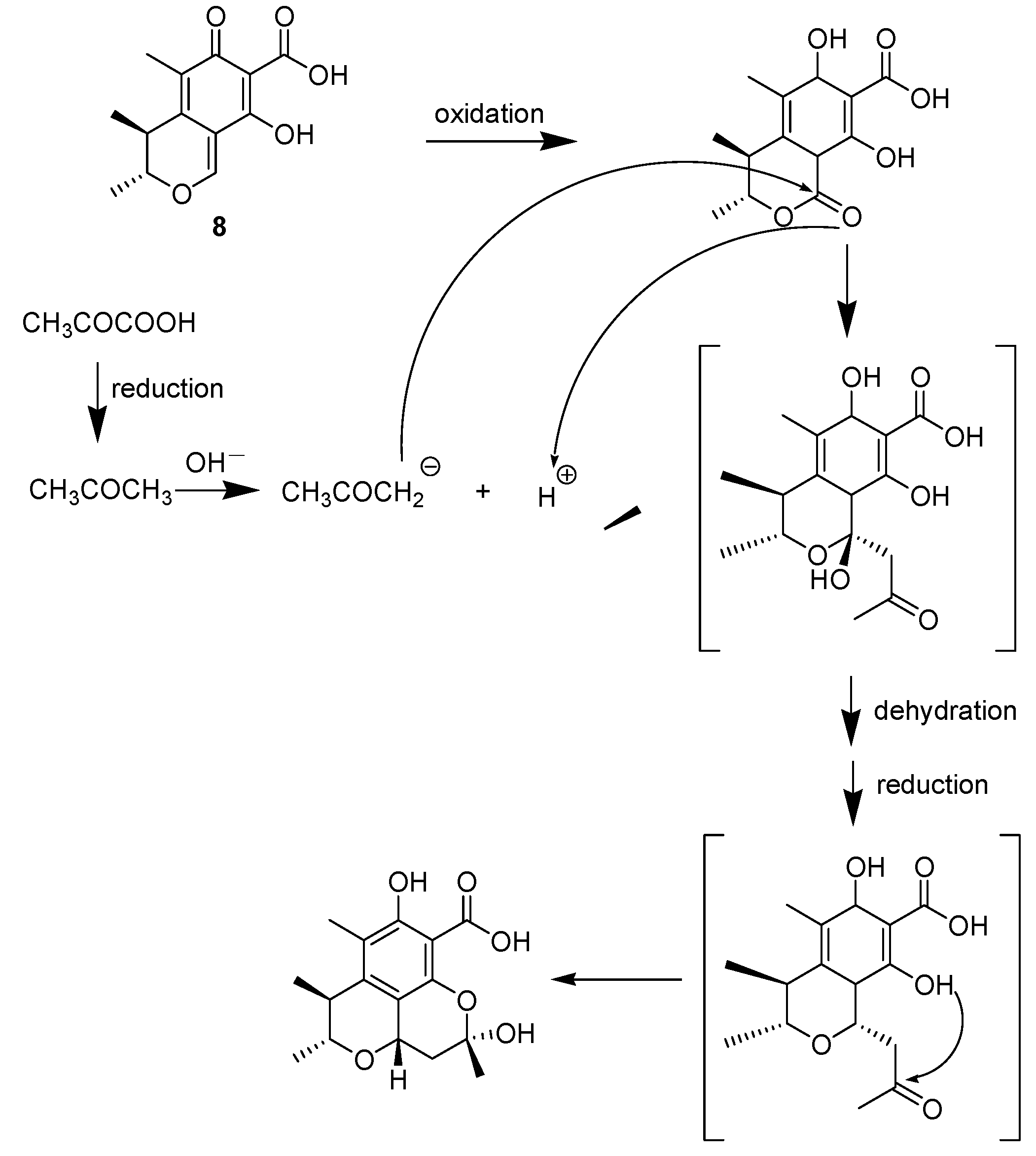 Molecules 18 05723 g006