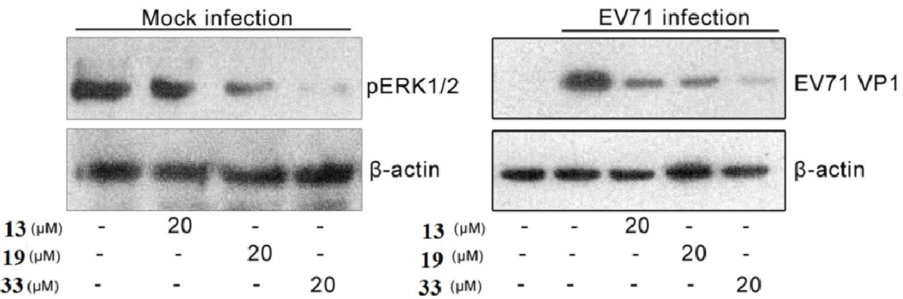 Molecules 18 06057 g005 550