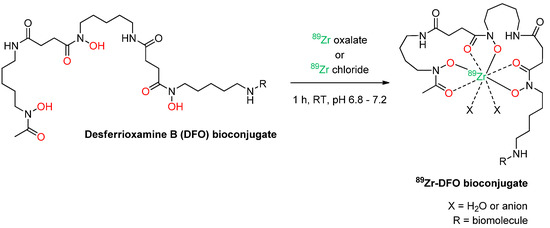 89Zr, a Radiometal Nuclide with High Potential for Molecular