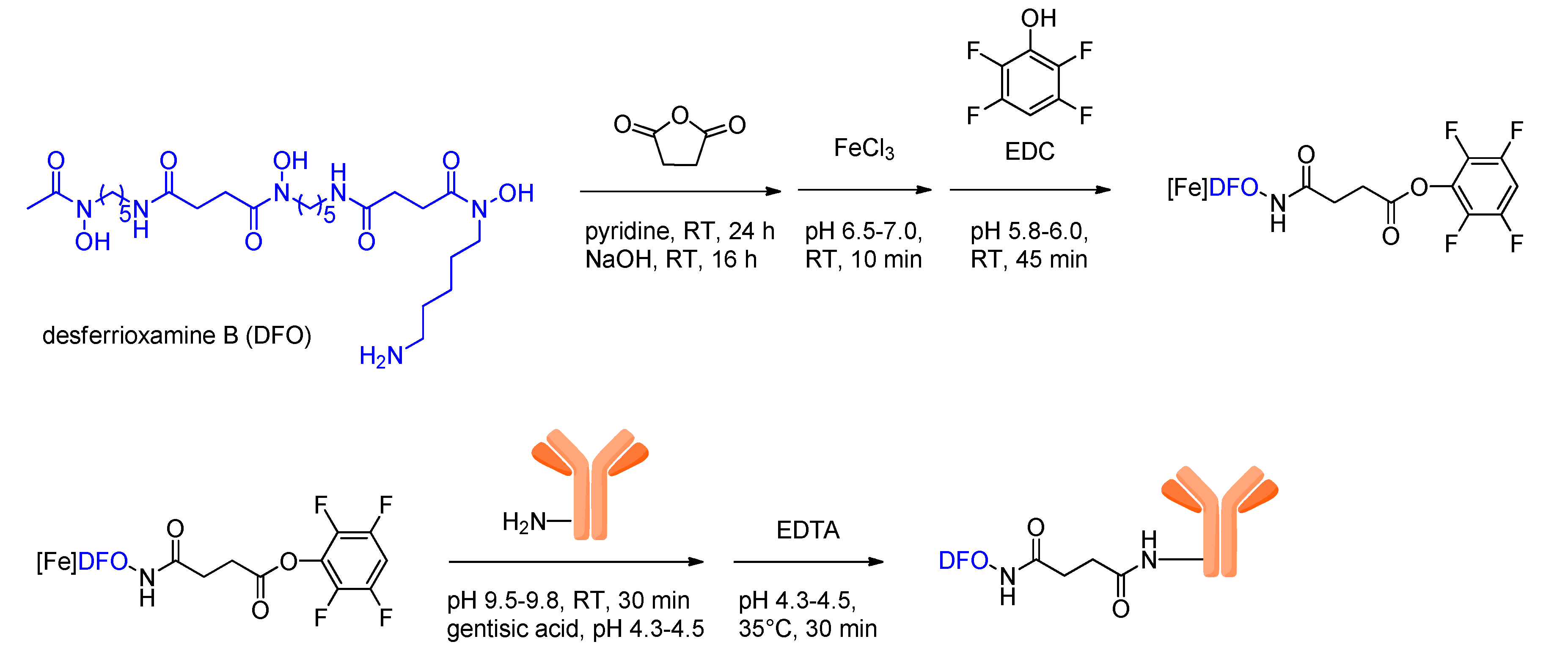89Zr, a Radiometal Nuclide with High Potential for Molecular