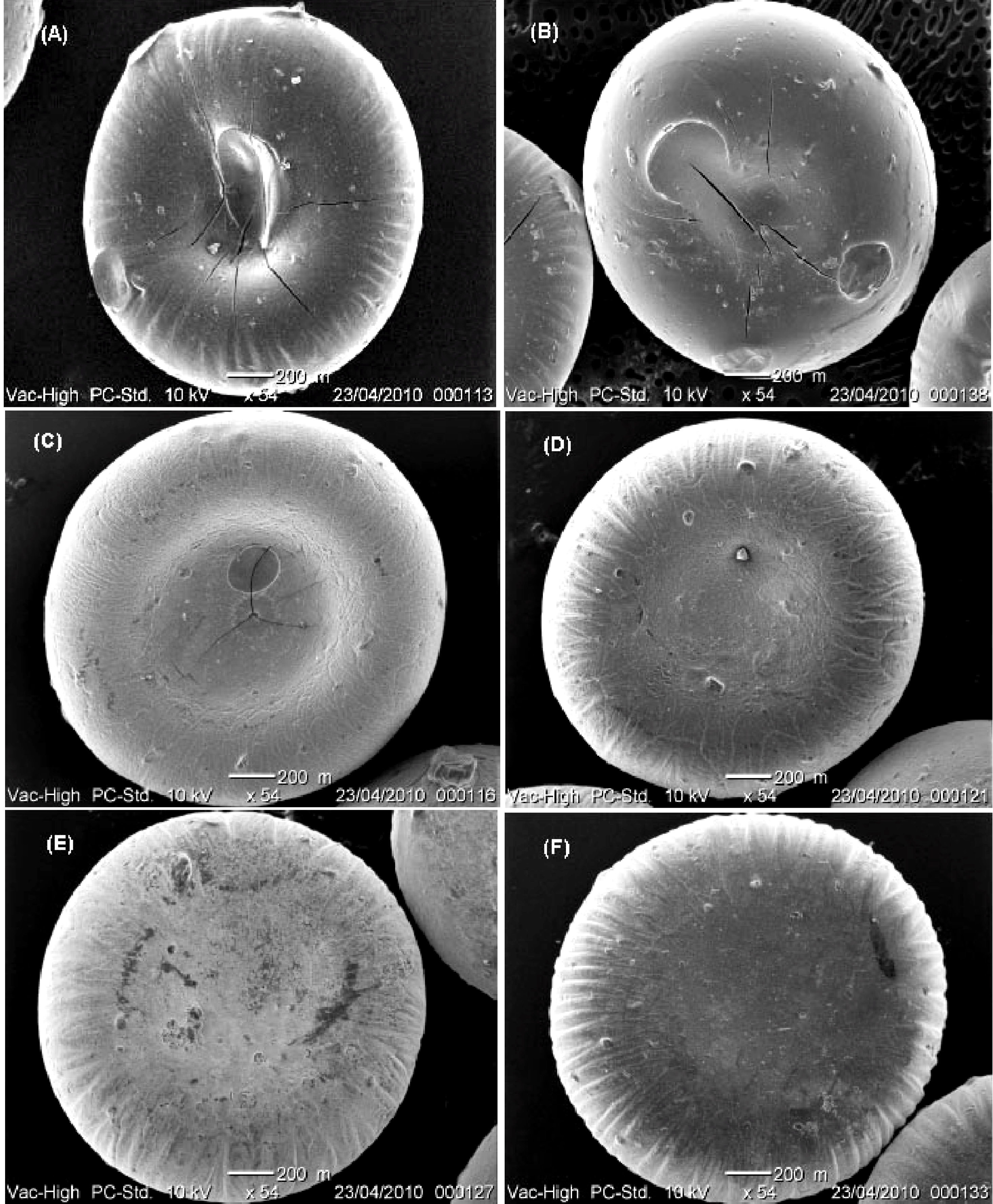 Molecules 18 06504 g001