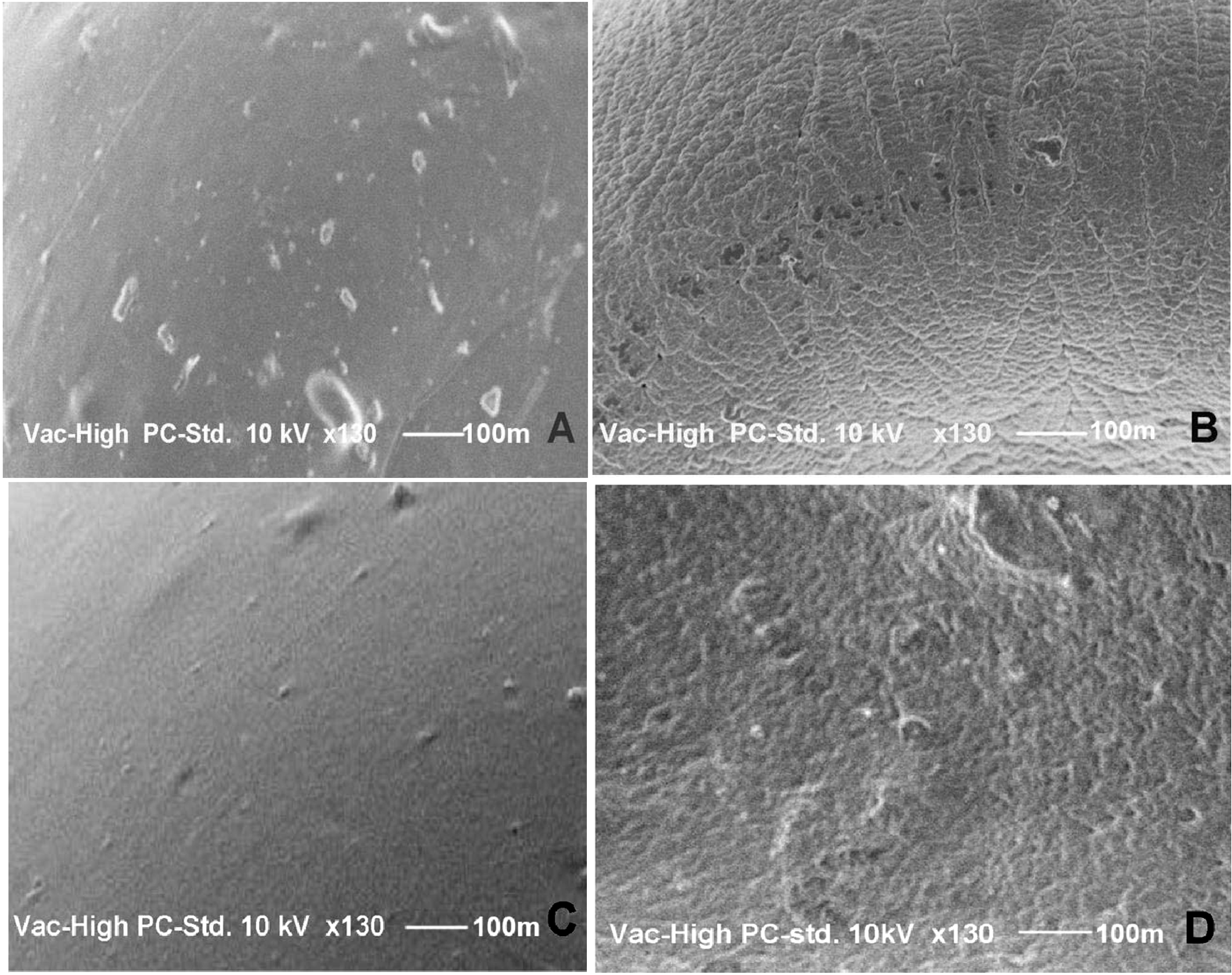 Molecules Free FullText The Development, Physicochemical