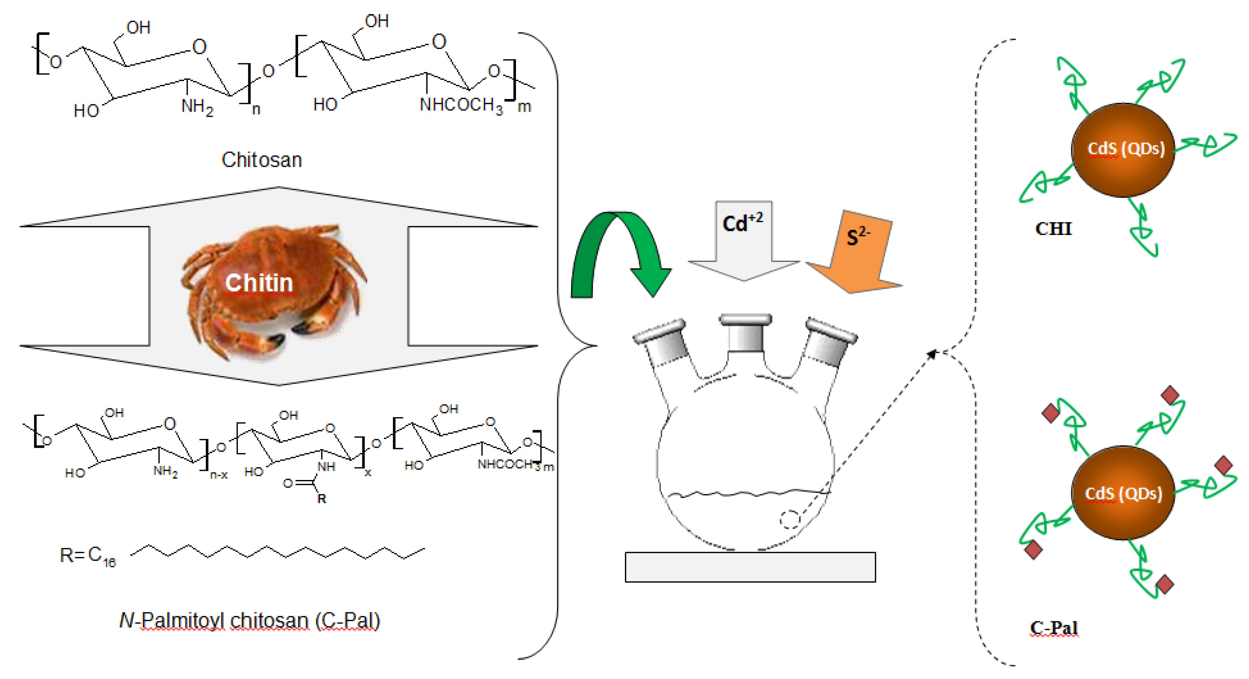 Molecules 18 06550 g001