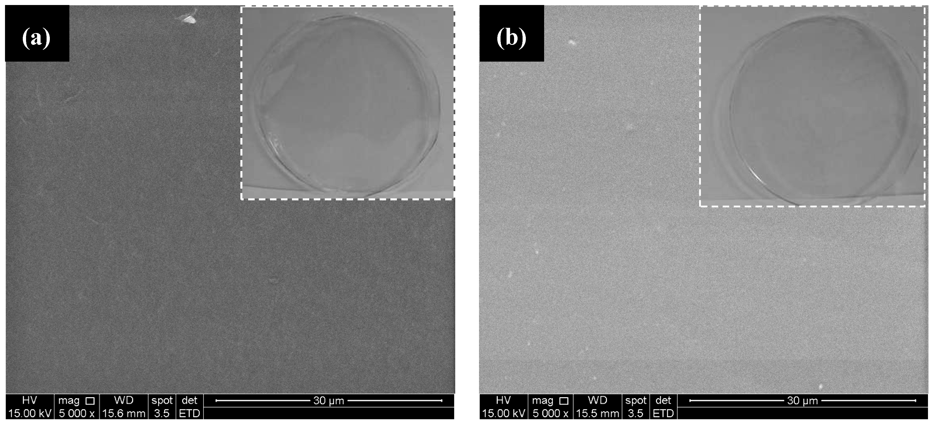 Molecules 18 06550 g007