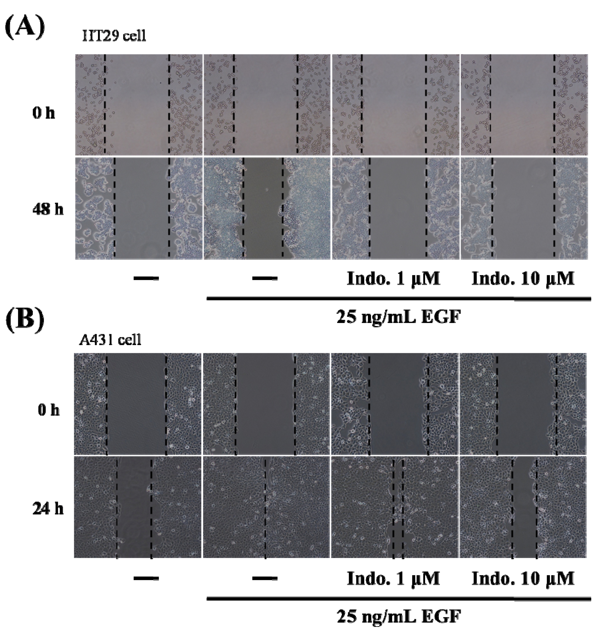 Molecules 18 06584 g002