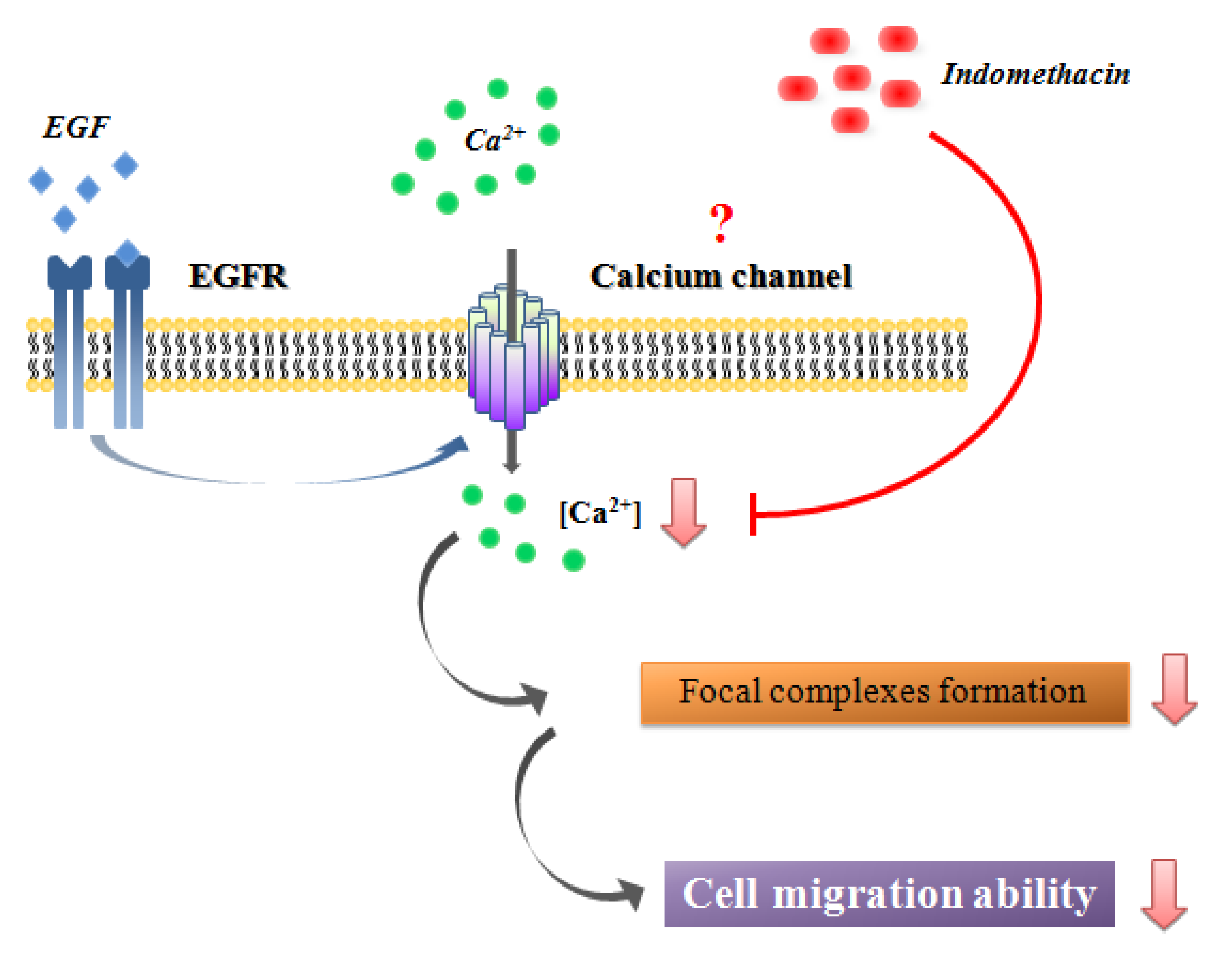 Molecules 18 06584 g006