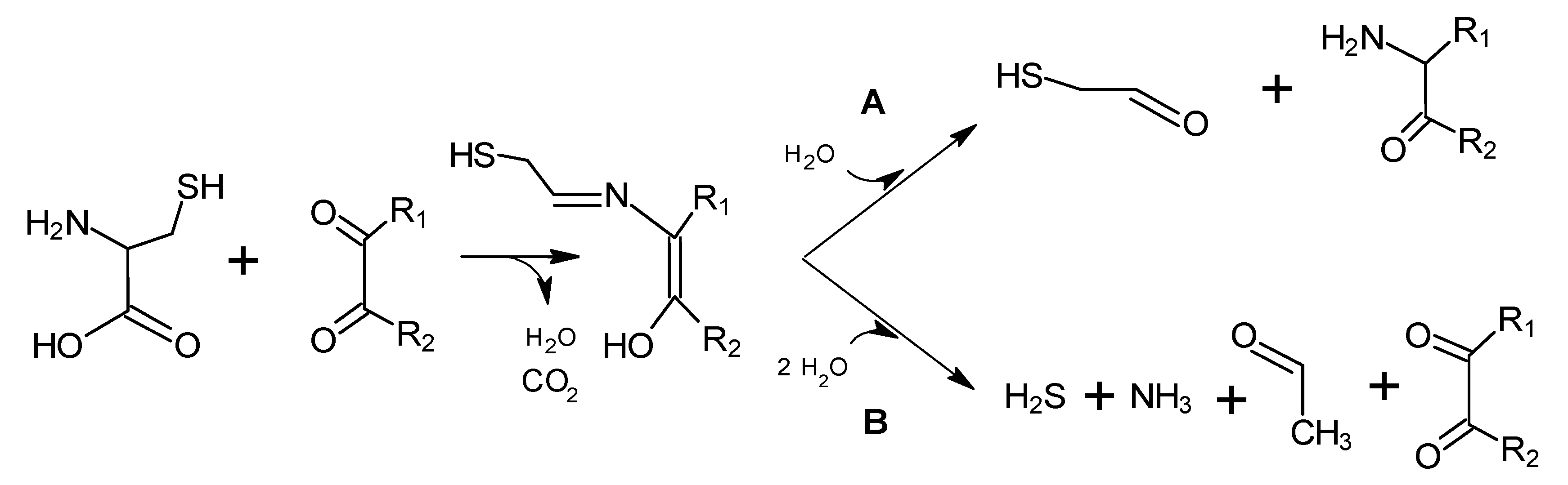 Molecules 18 06748 g009 550