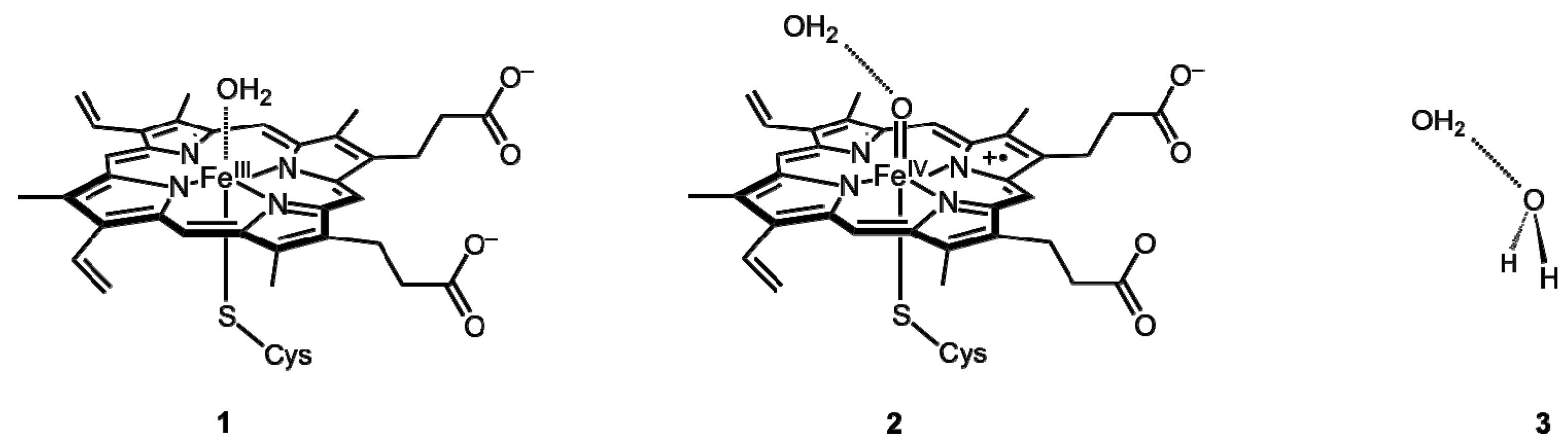 Molecules 18 06782 g001