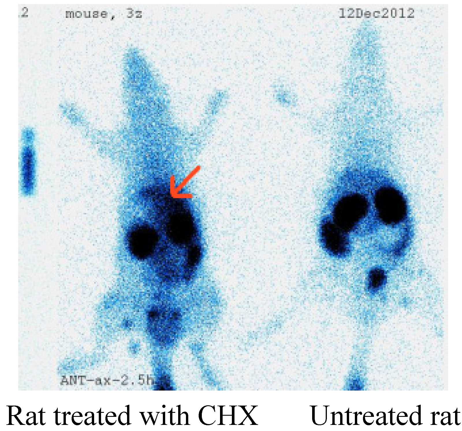 Molecules 18 06908 g004 550