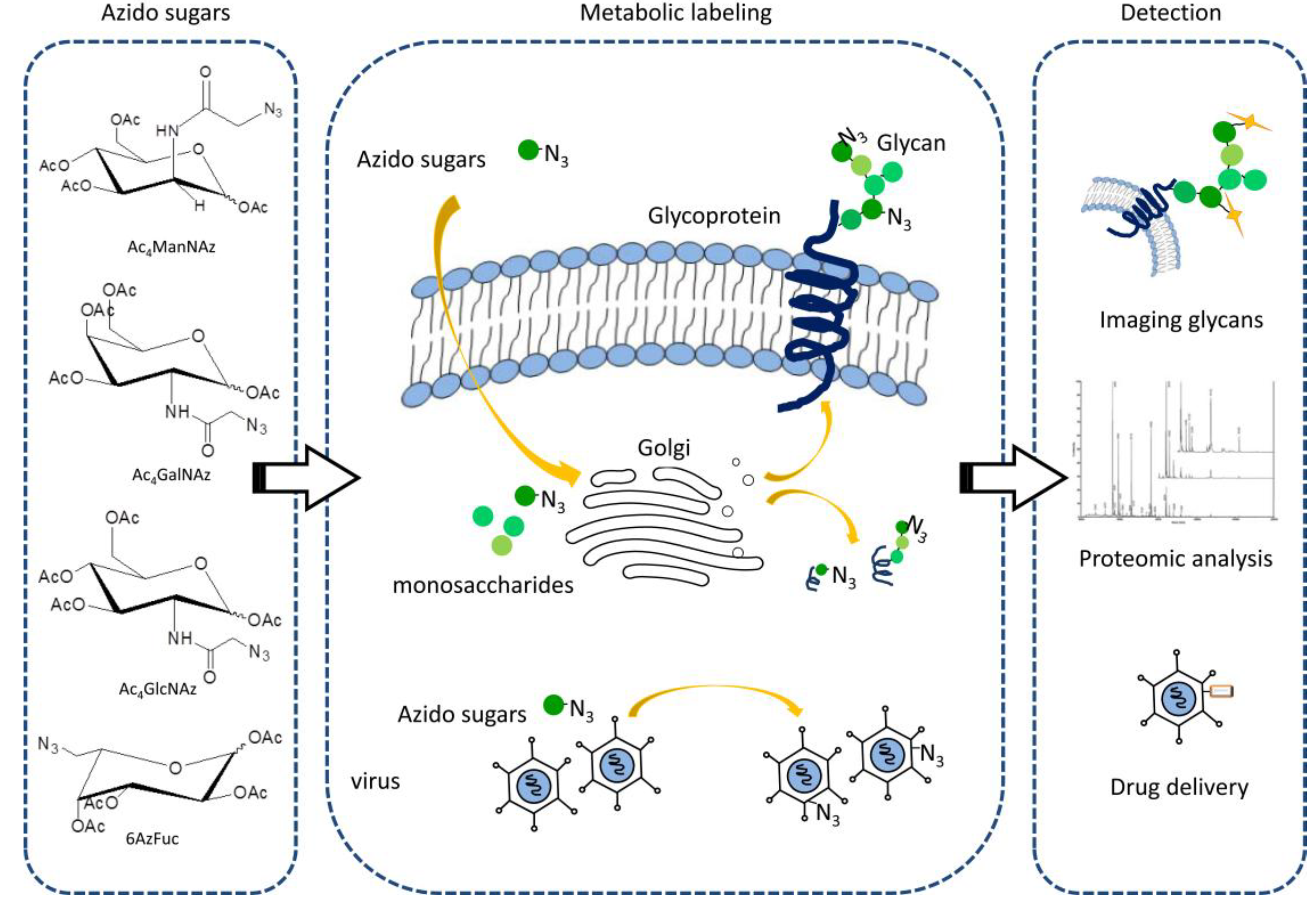 Molecules 18 07145 g003 550