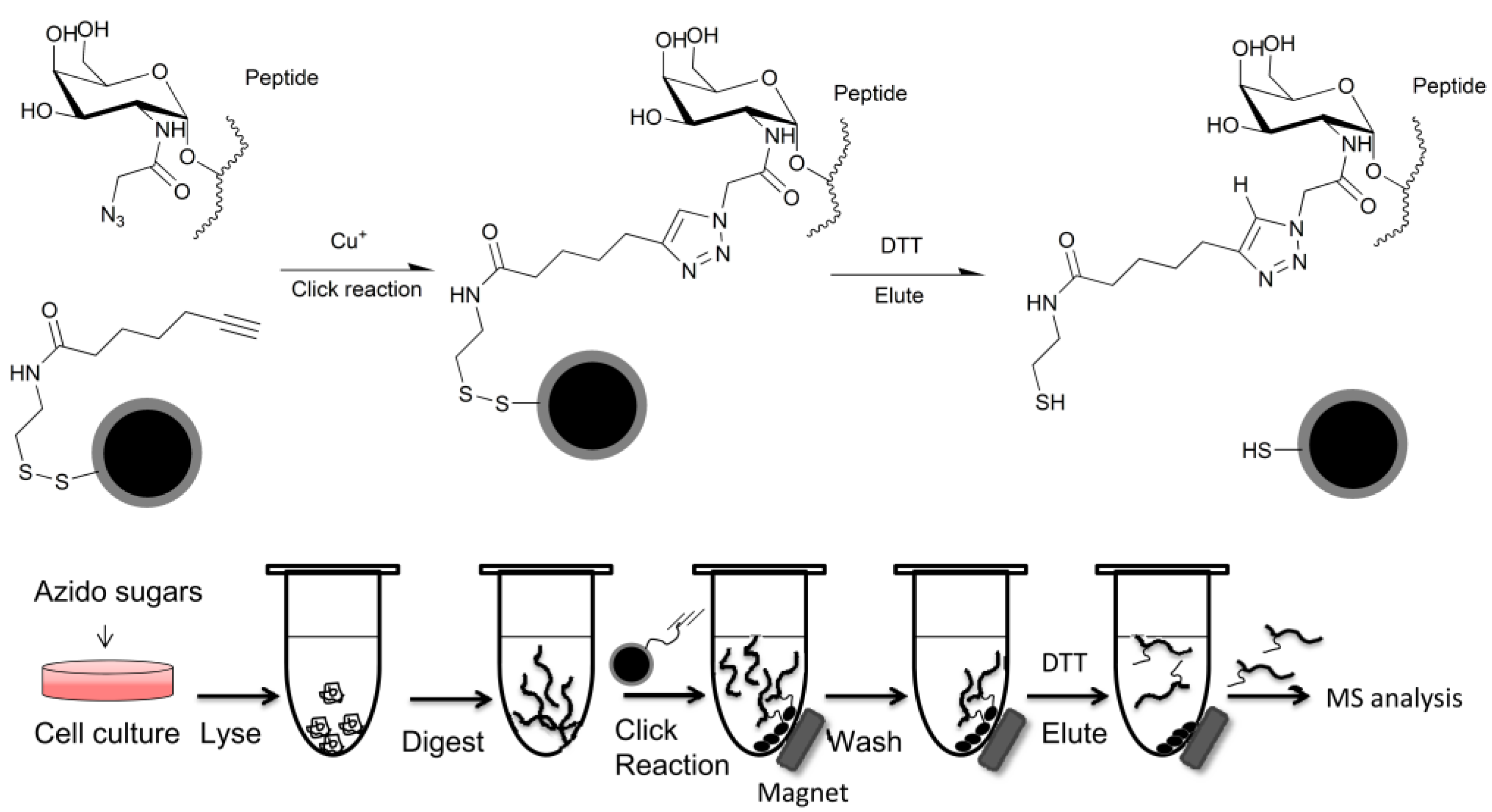 Molecules 18 07145 g004 550