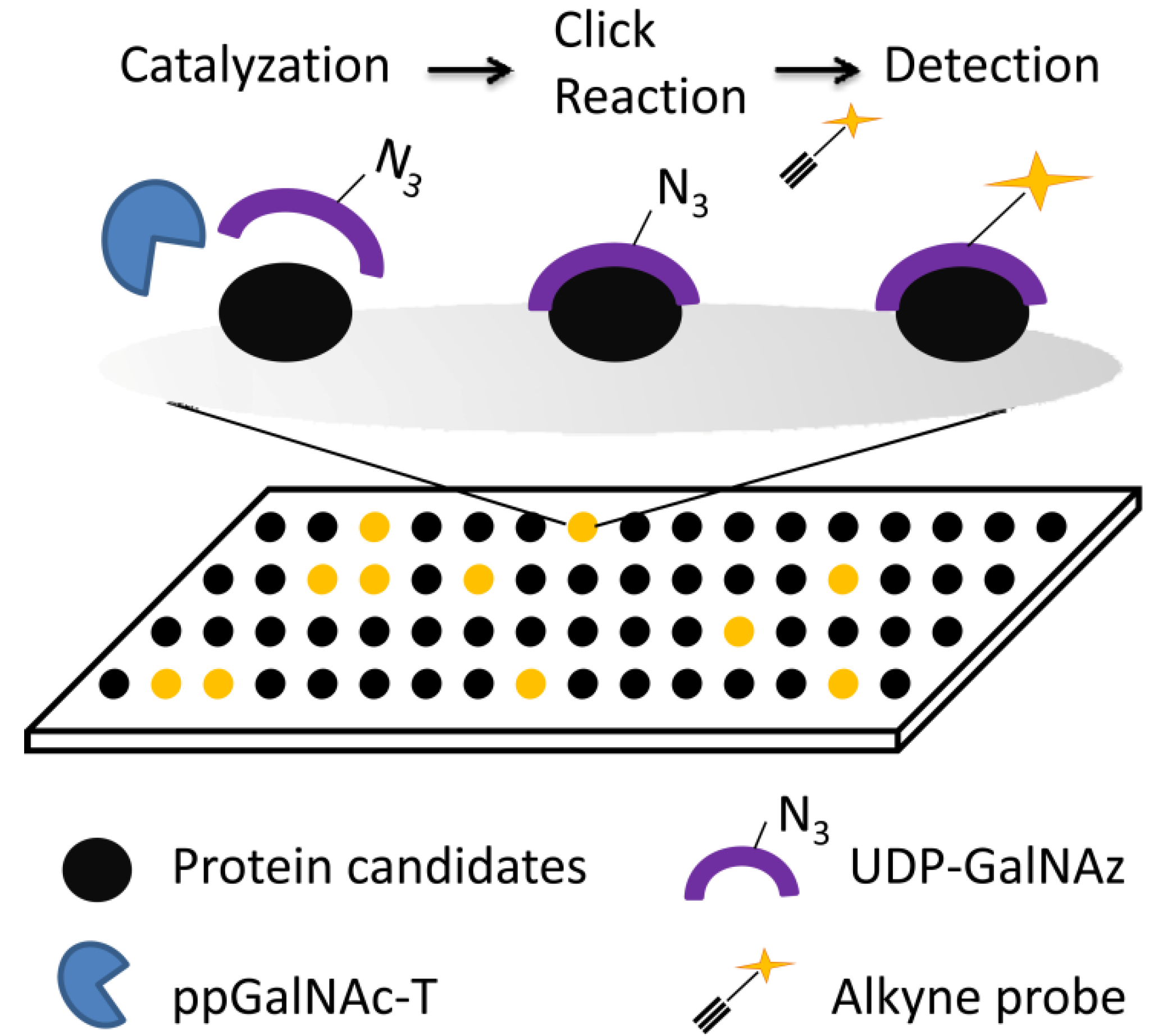 Molecules 18 07145 g006 550