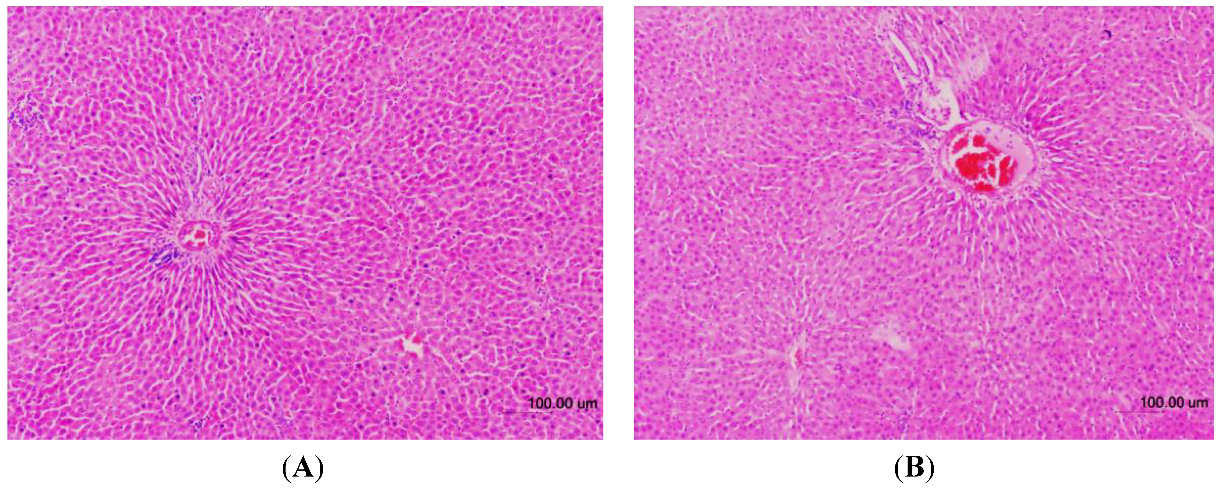 Molecules 18 07460 g004 550