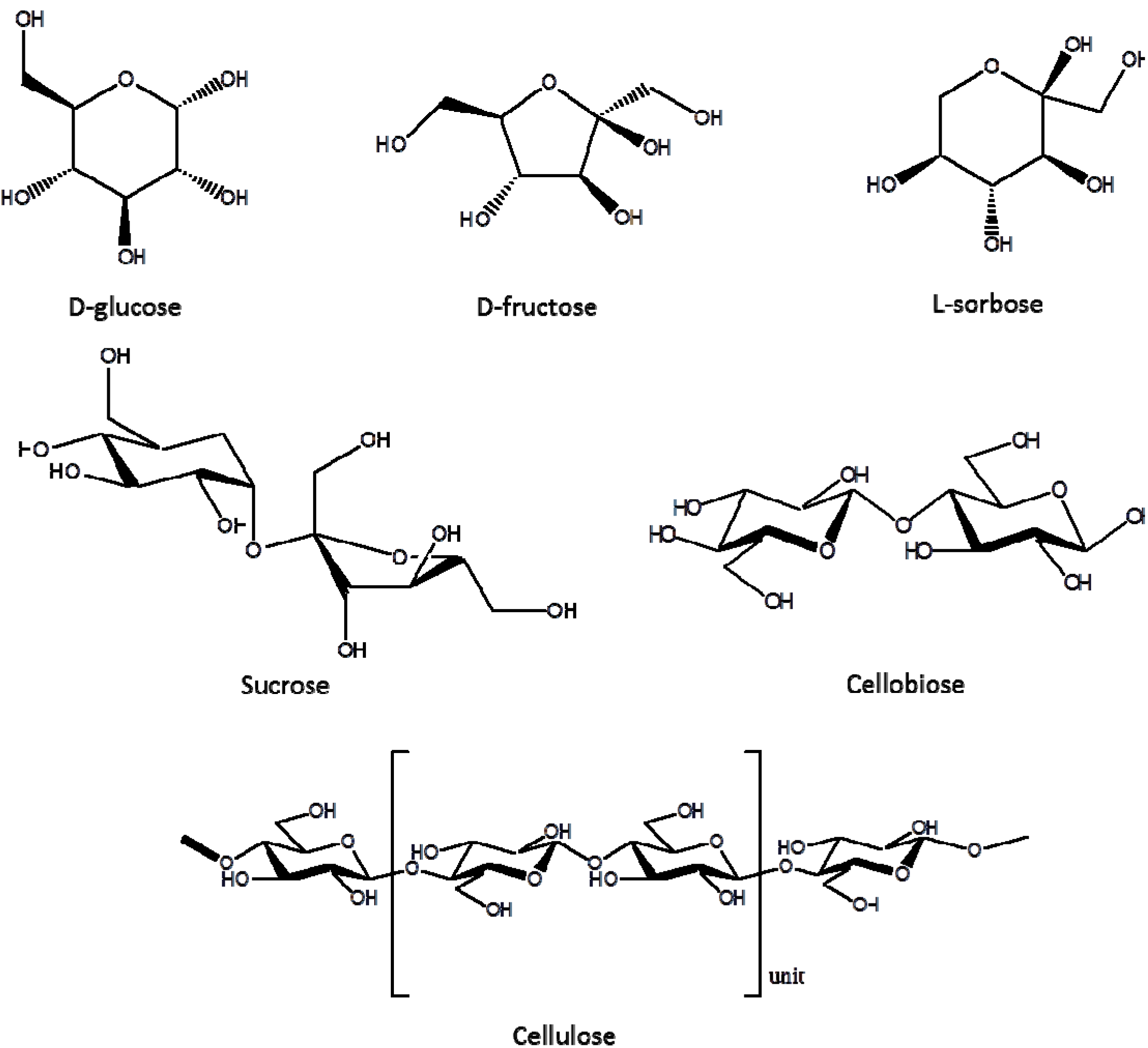 Molecules 18 07675 g002 550