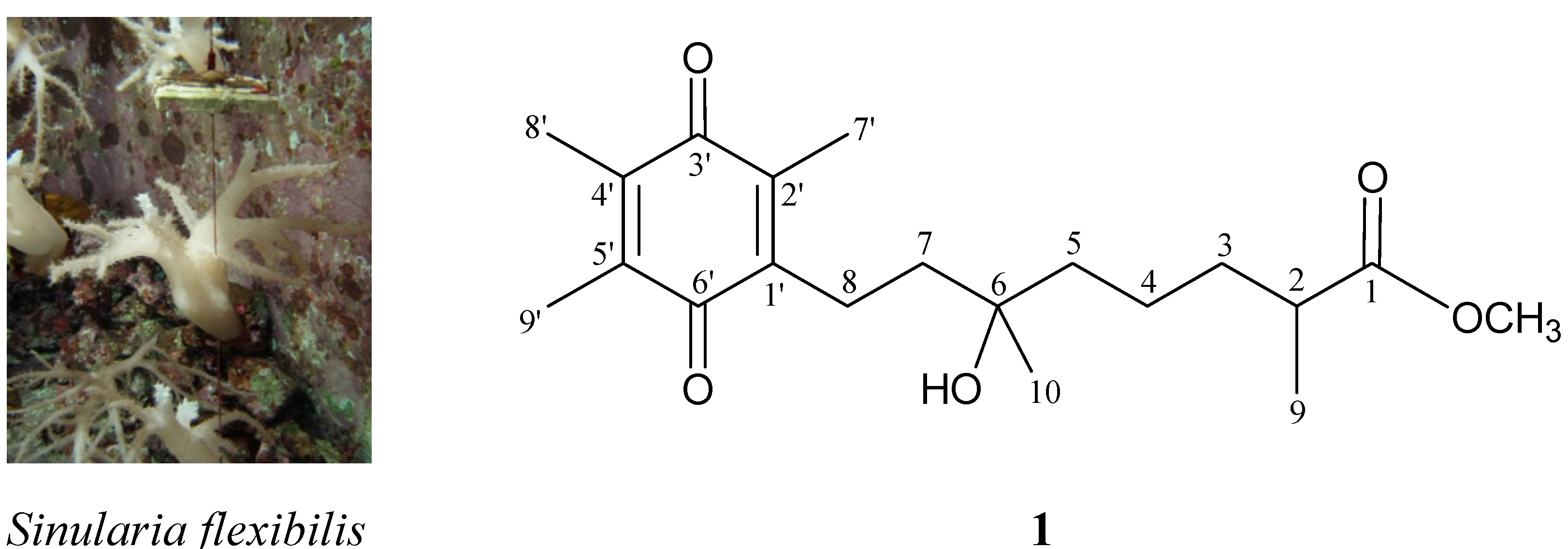 Molecules 18 08160 g001 550