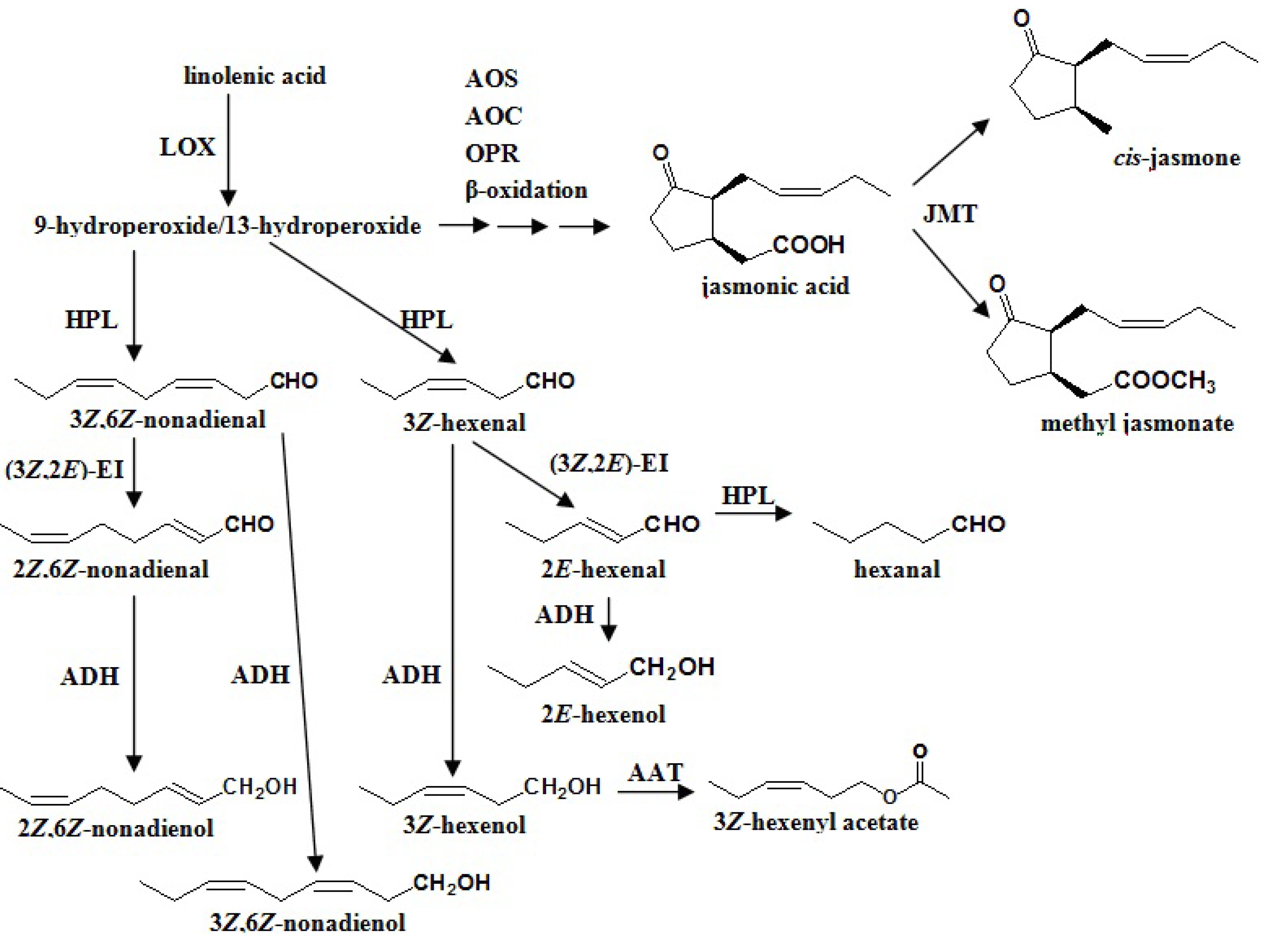 Molecules 18 08200 g001
