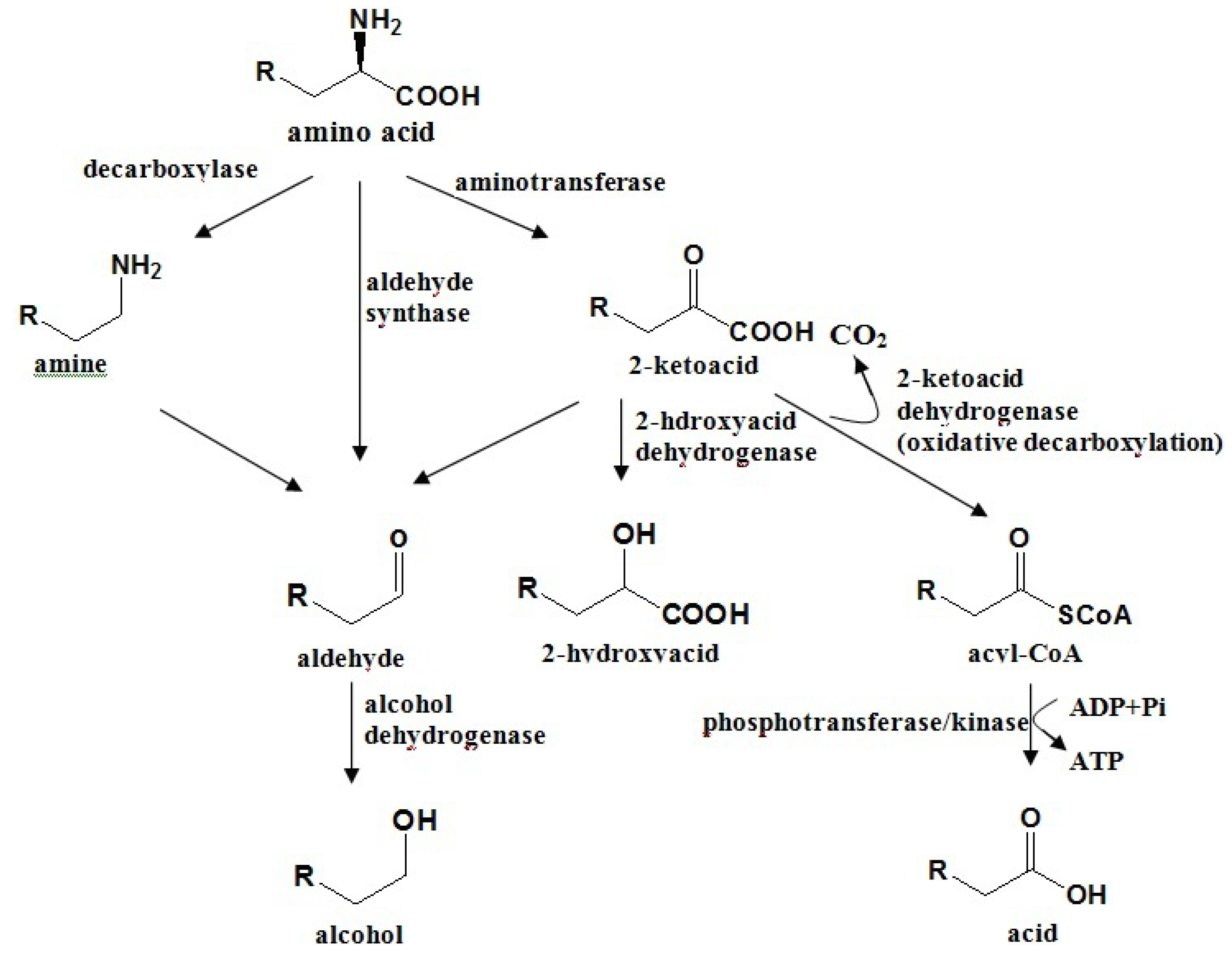 Molecules 18 08200 g002