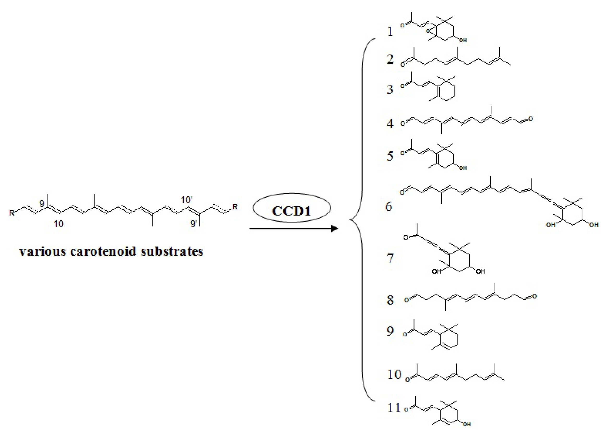 Molecules 18 08200 g004