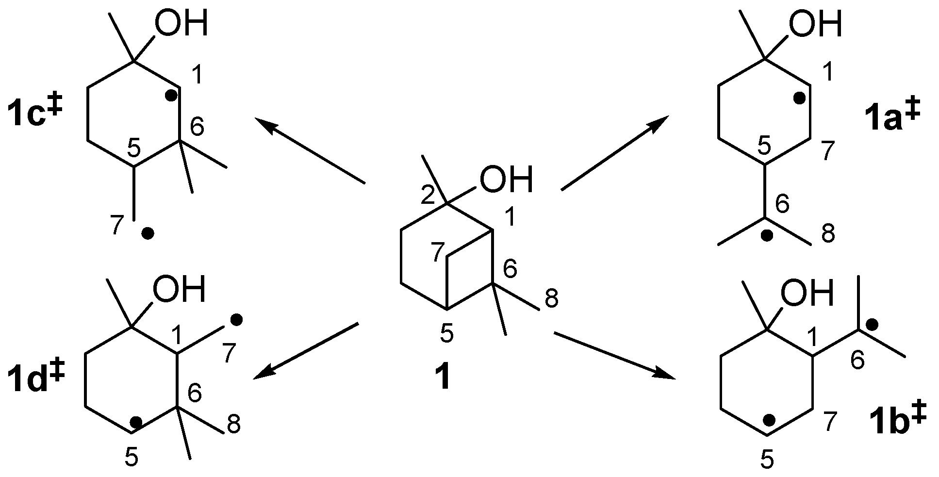 Molecules 18 08358 sch004