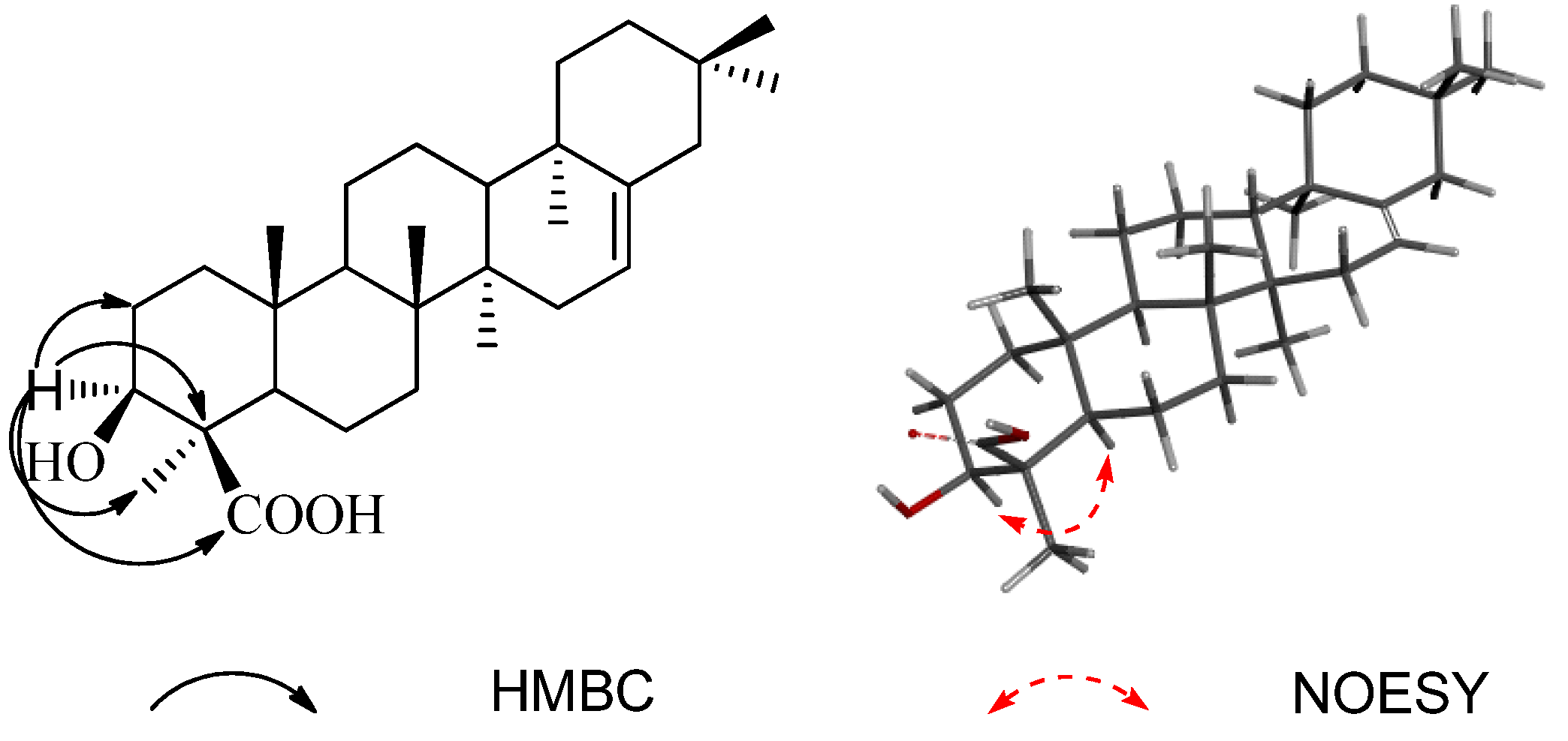 Molecules 18 08518 g002 550