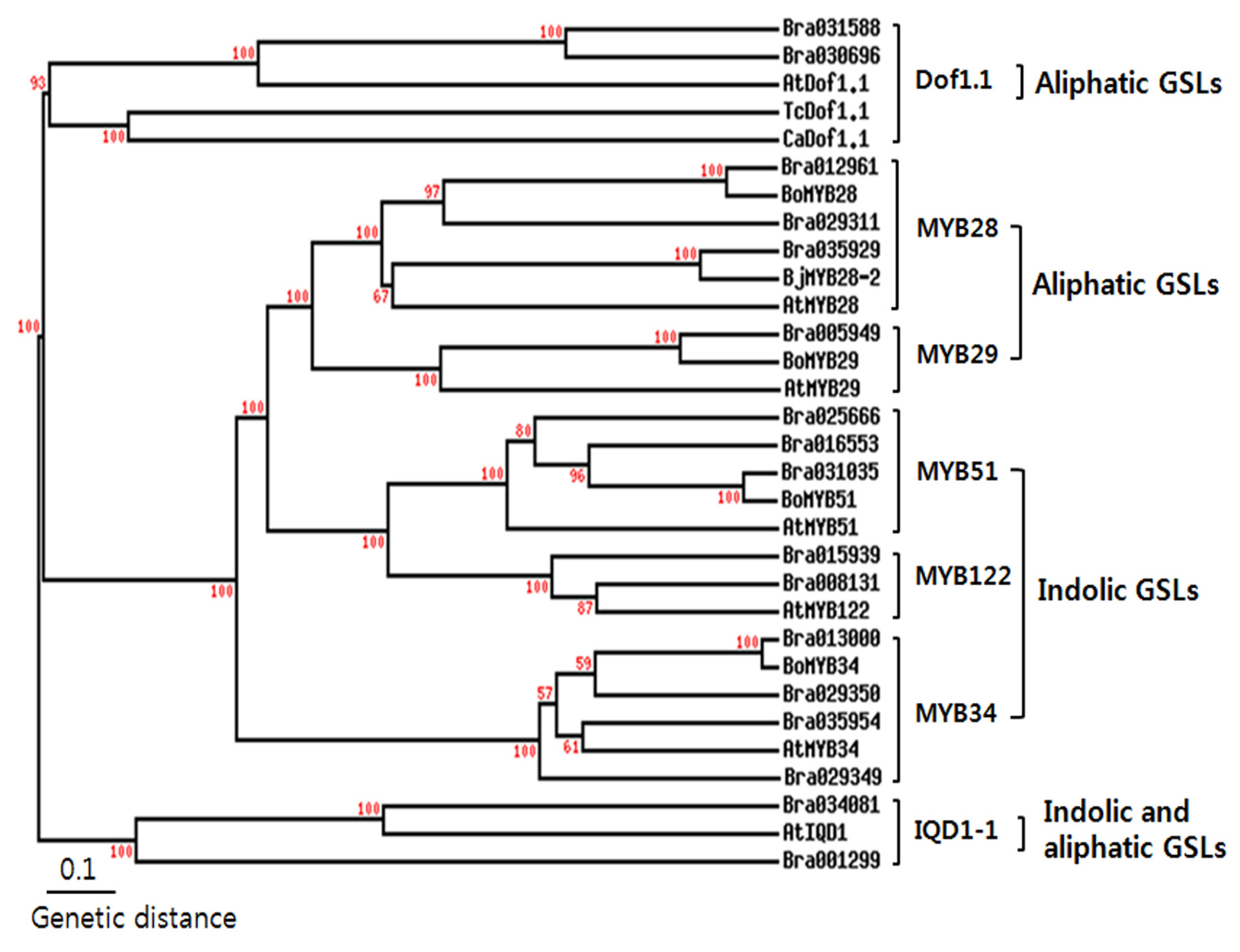 Molecules 18 08682 g002 550