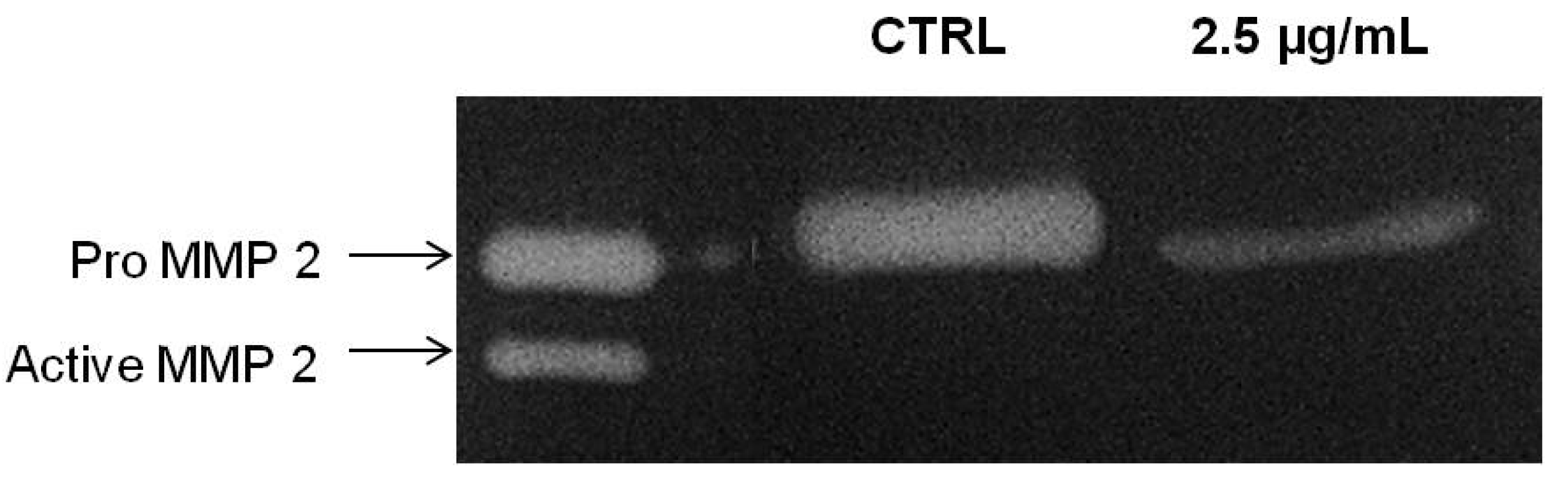 Molecules 18 08764 g007 550