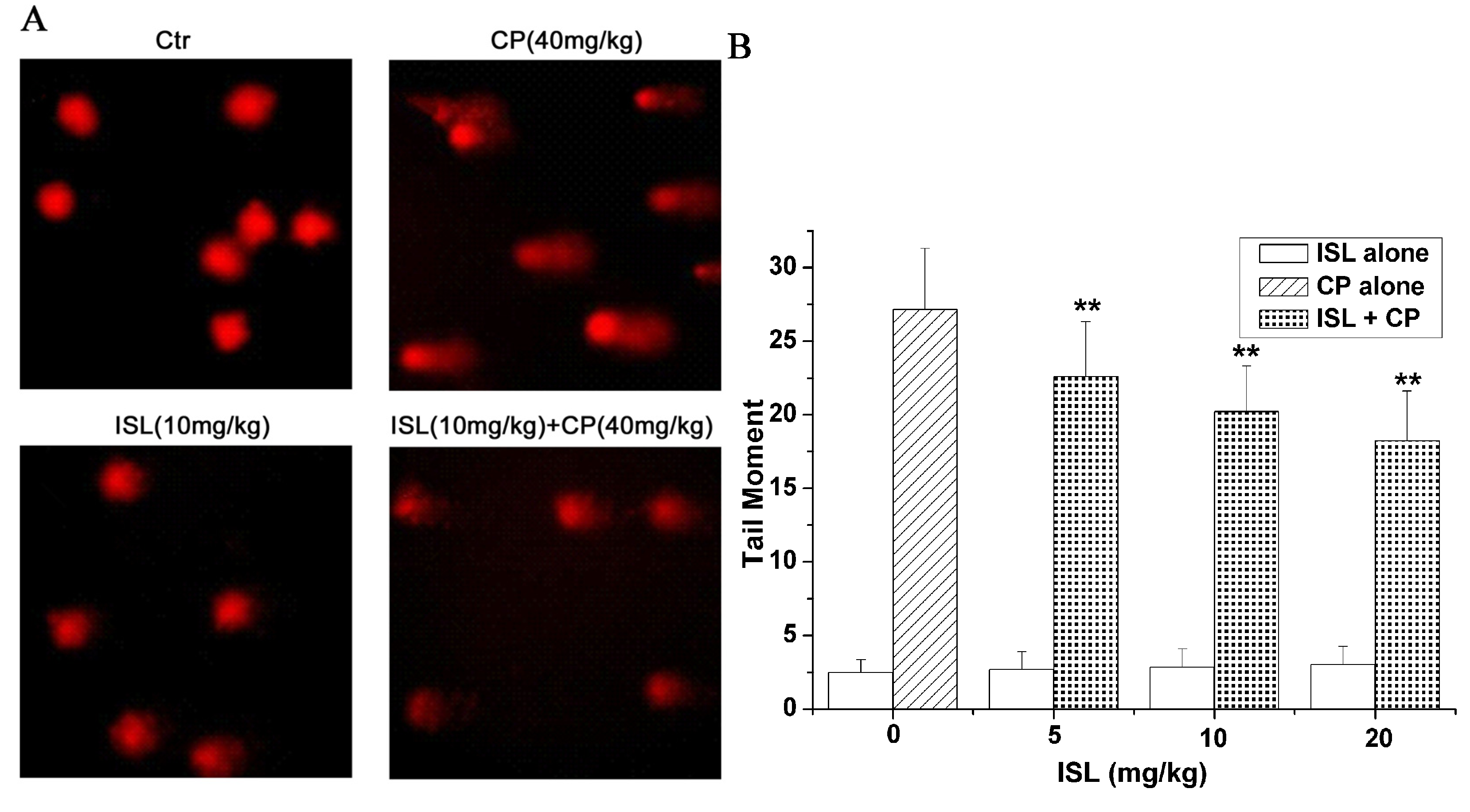 Molecules 18 08786 g006
