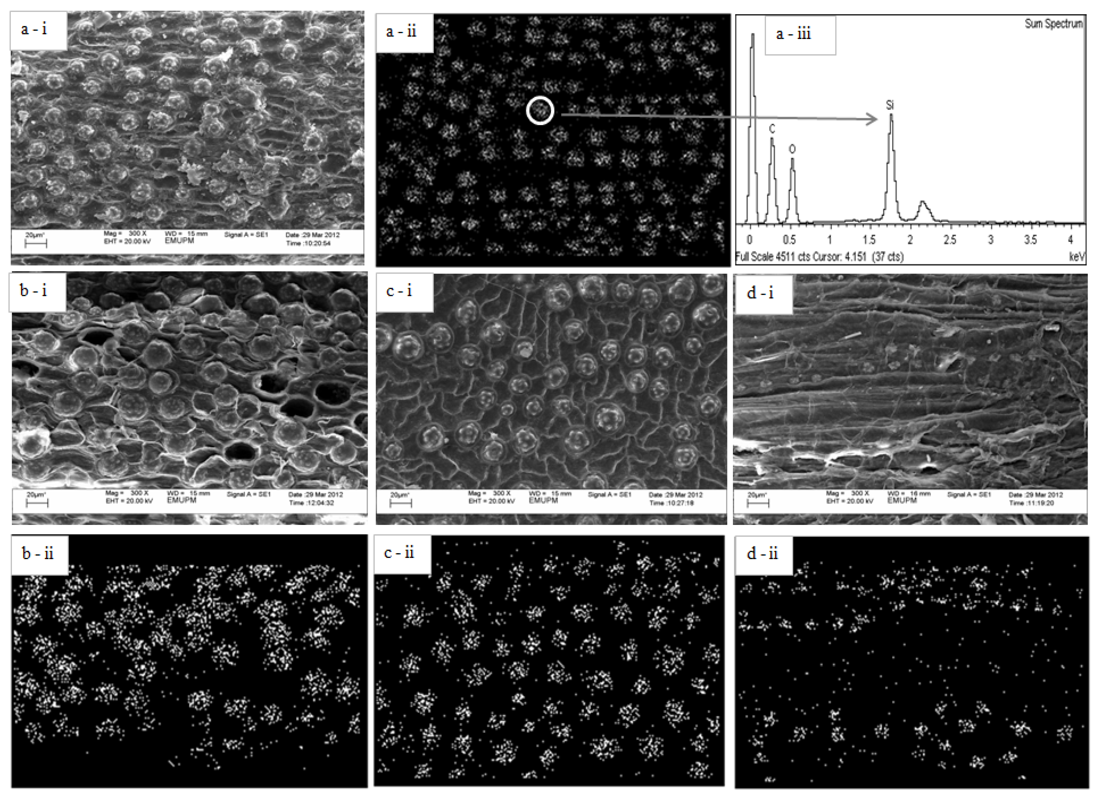 Molecules 18 09132 g004
