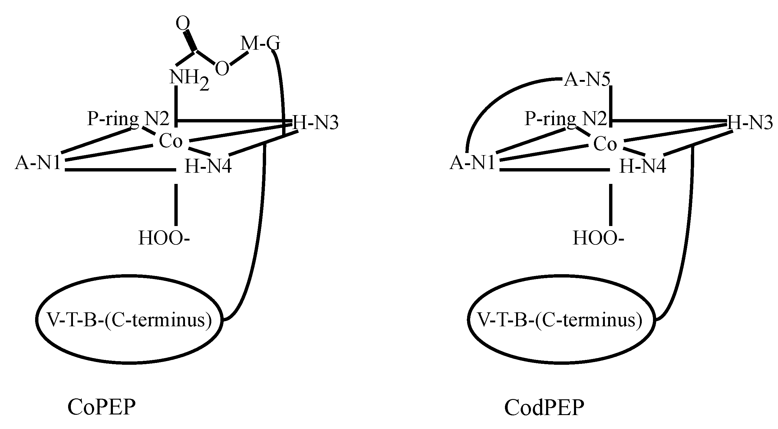 Molecules 18 09253 g007